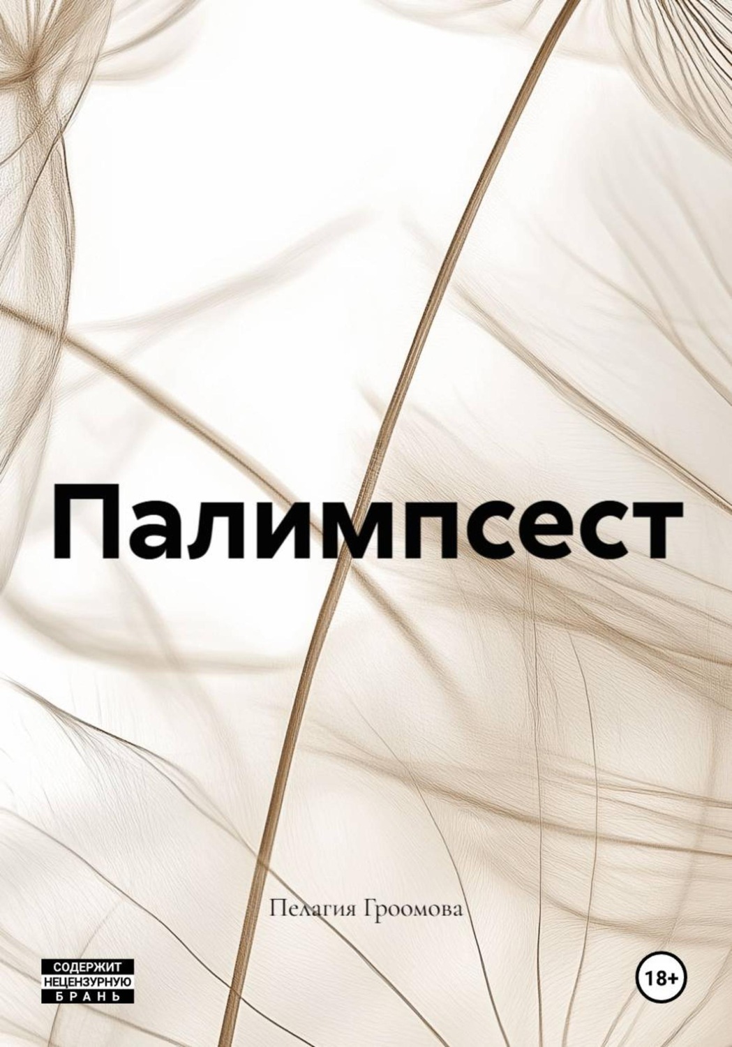 Обложка книги «Палимпсест»