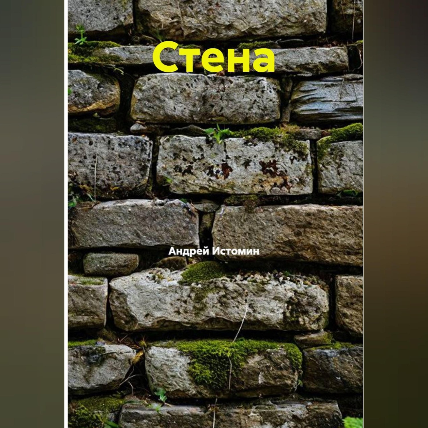 Обложка книги «Стена»