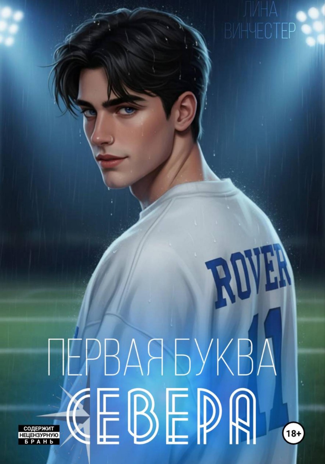 Обложка книги «Первая буква Севера»