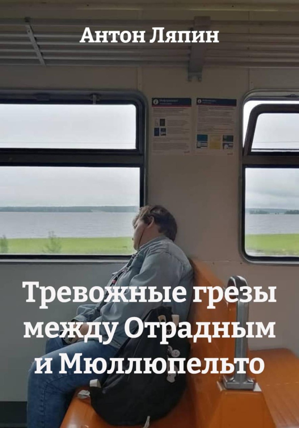 Обложка книги «Тревожные грезы между Отрадным и Мюллюпельто»