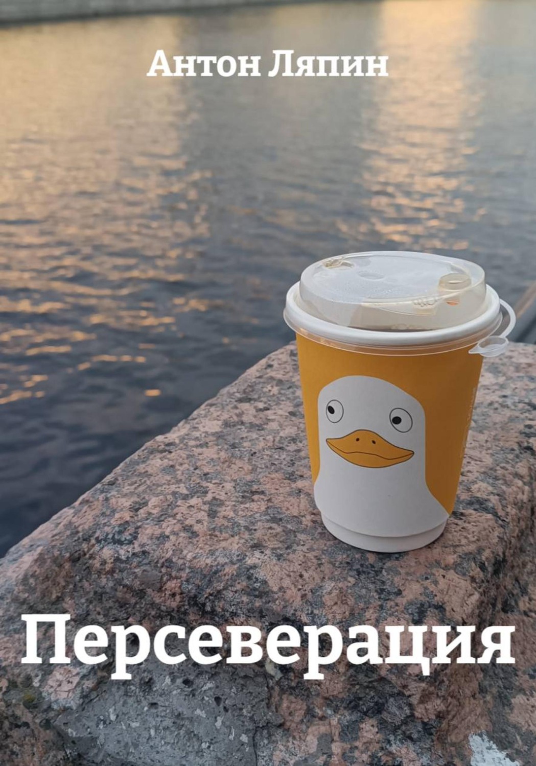 Обложка книги «Персеверация»