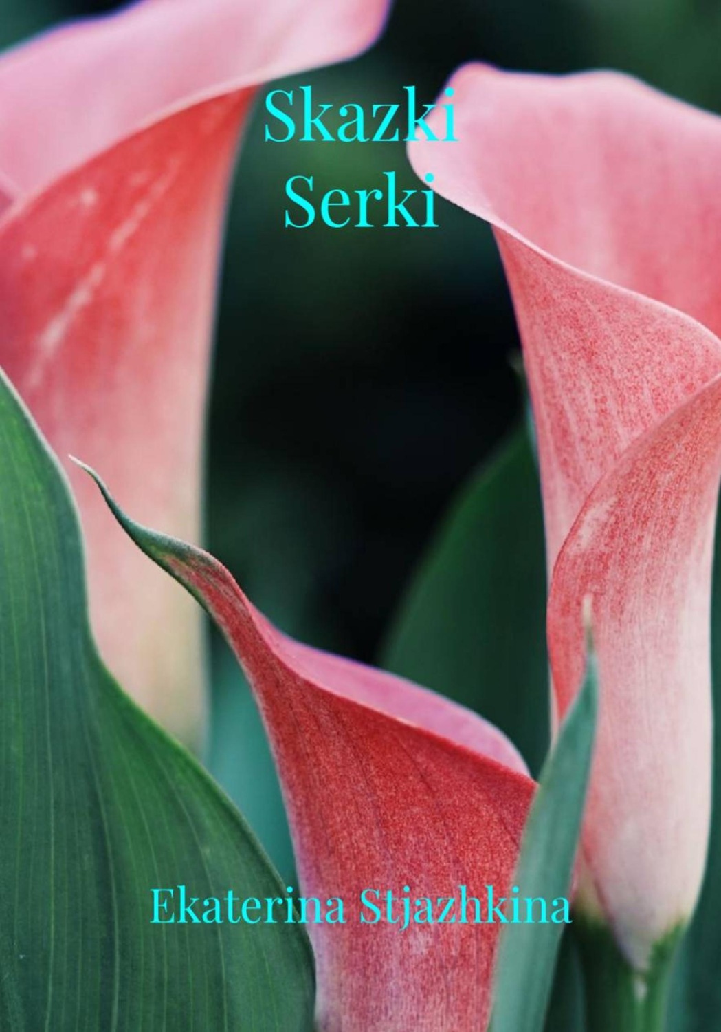 Обложка книги «Skazki Serki»