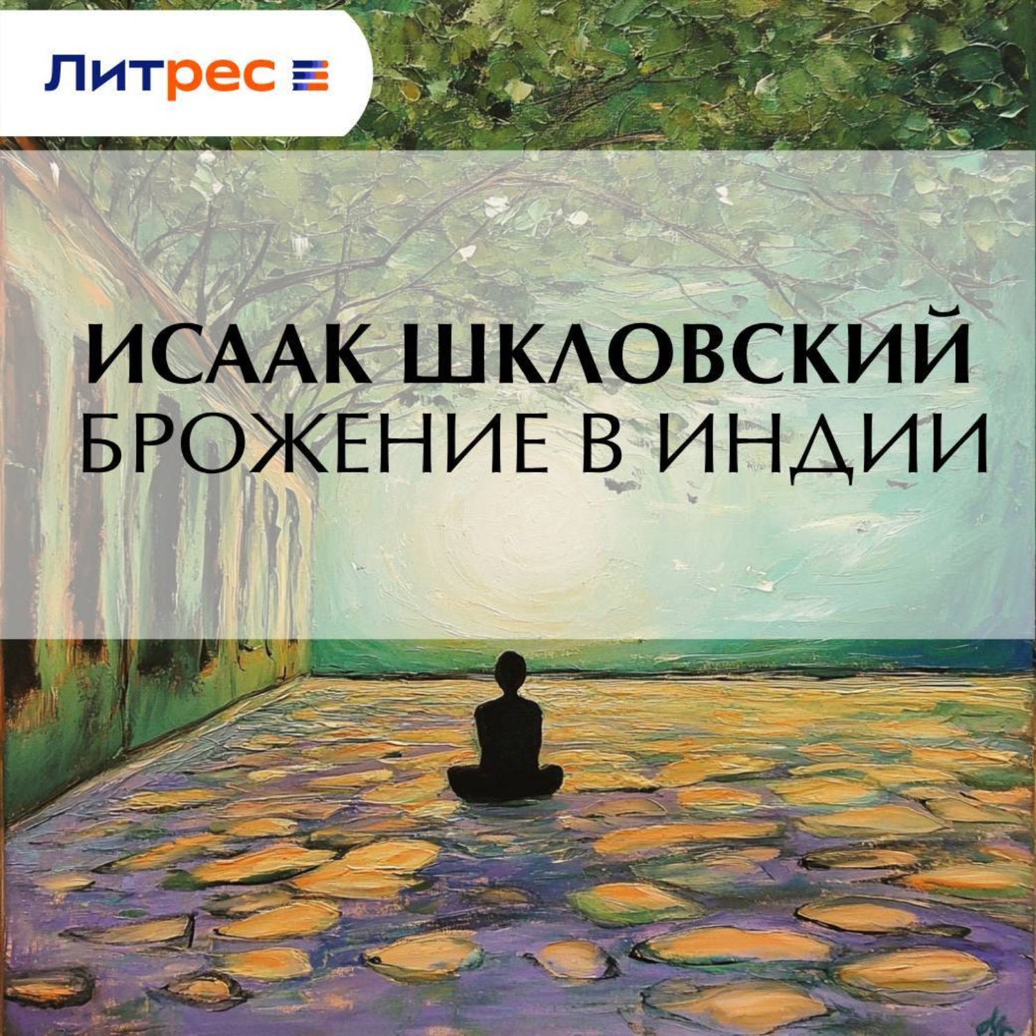 Обложка книги «Брожение в Индии»