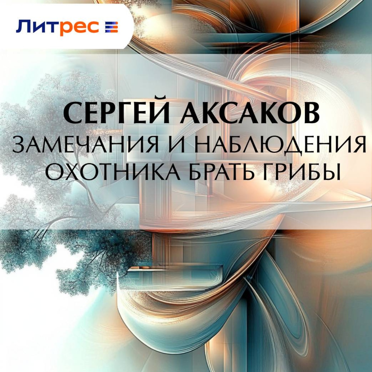 Обложка книги «Замечания и наблюдения охотника брать грибы»
