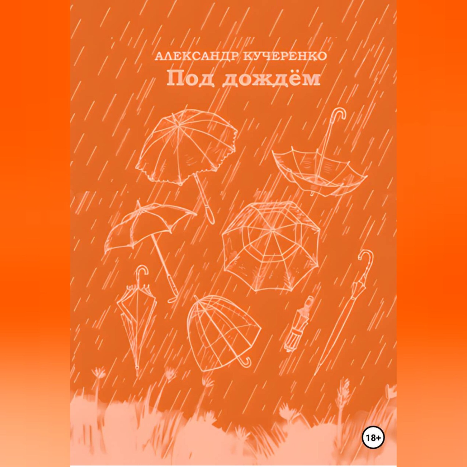 Обложка книги «Под дождём»