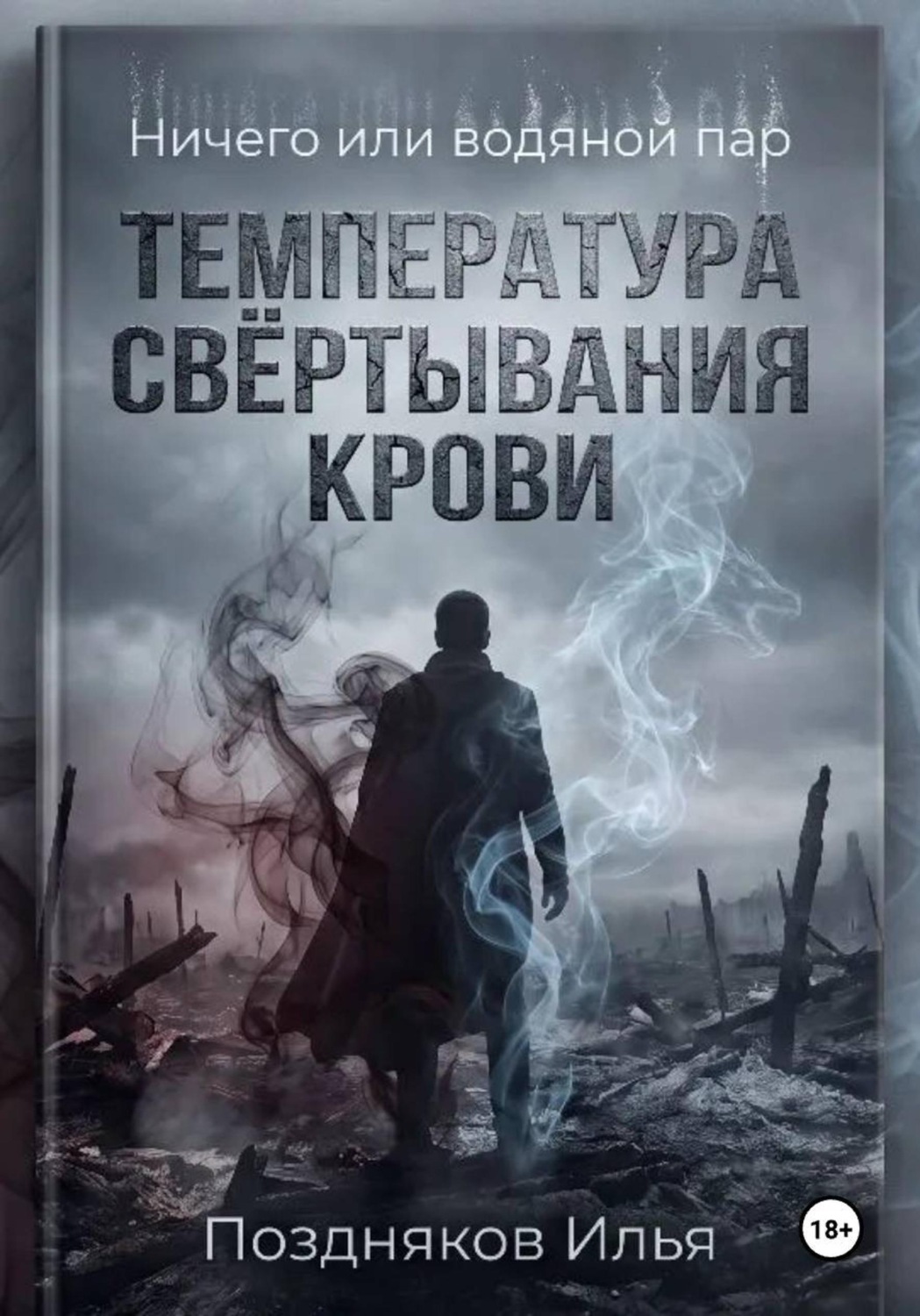 Обложка книги «Ничего или водяной пар»