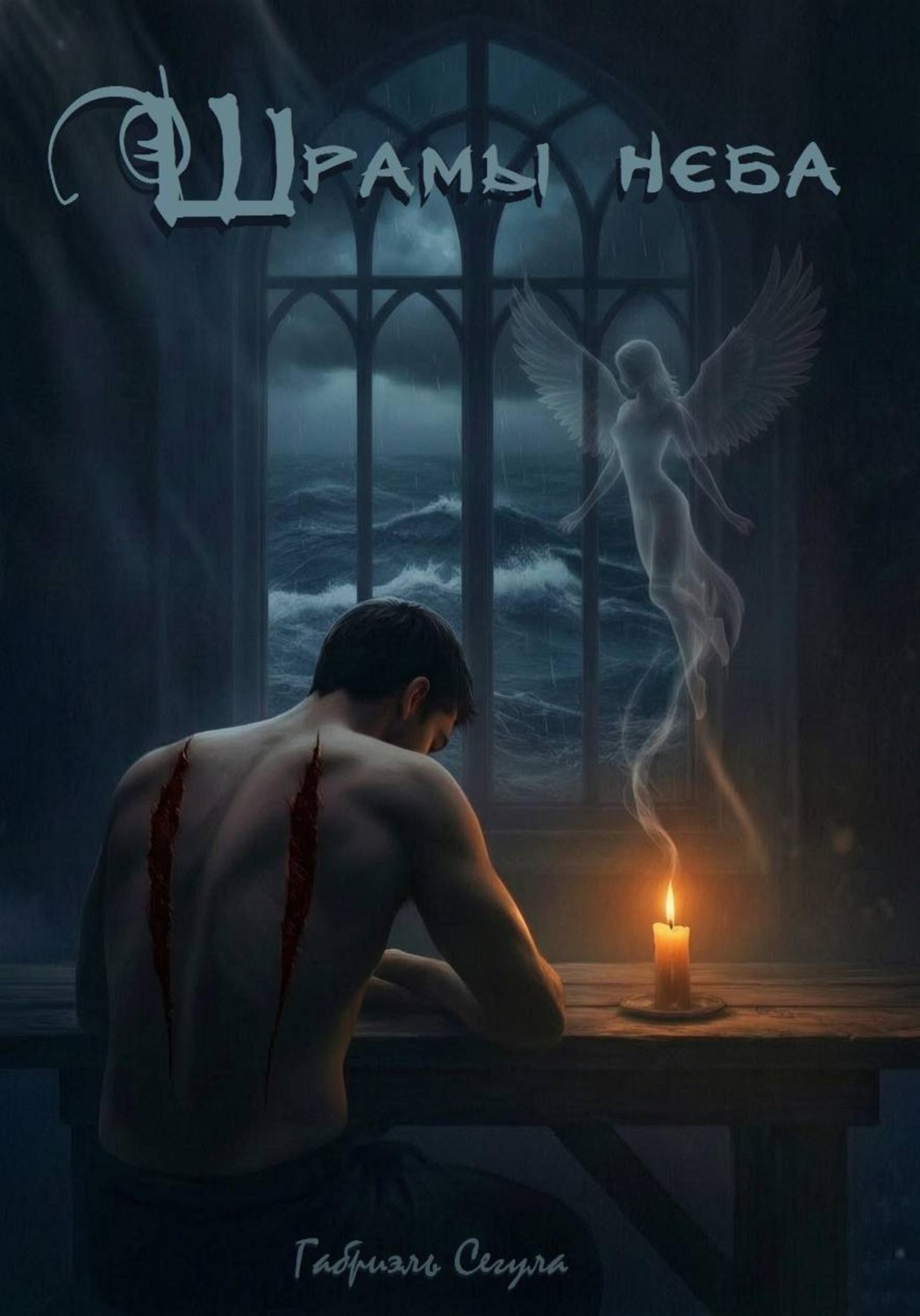 Обложка книги «Шрамы неба»