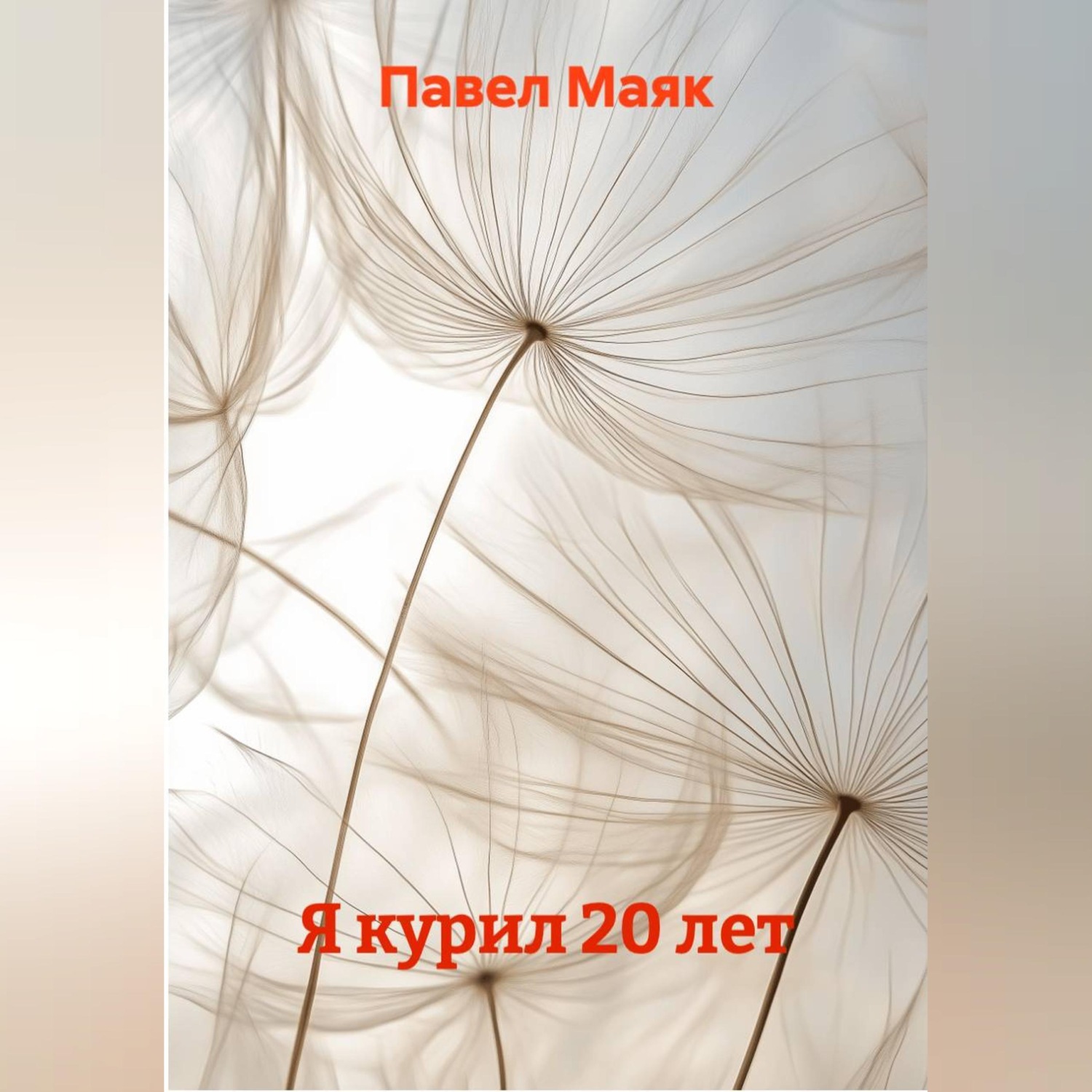 Обложка книги «Я курил 20 лет»