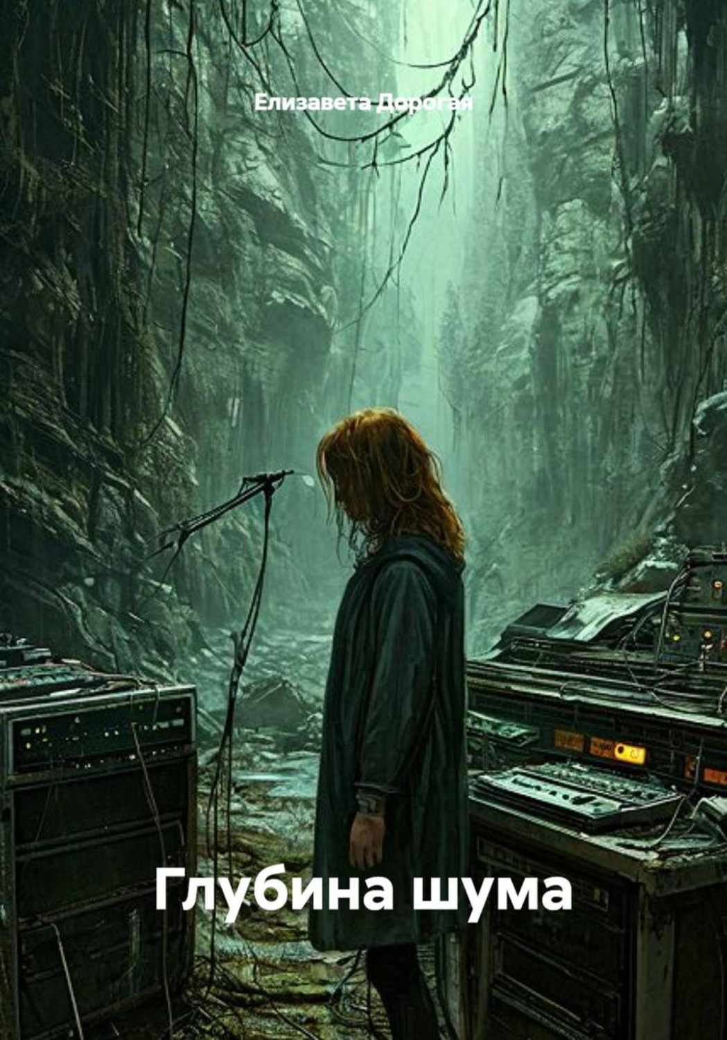 Обложка книги «Глубина шума»