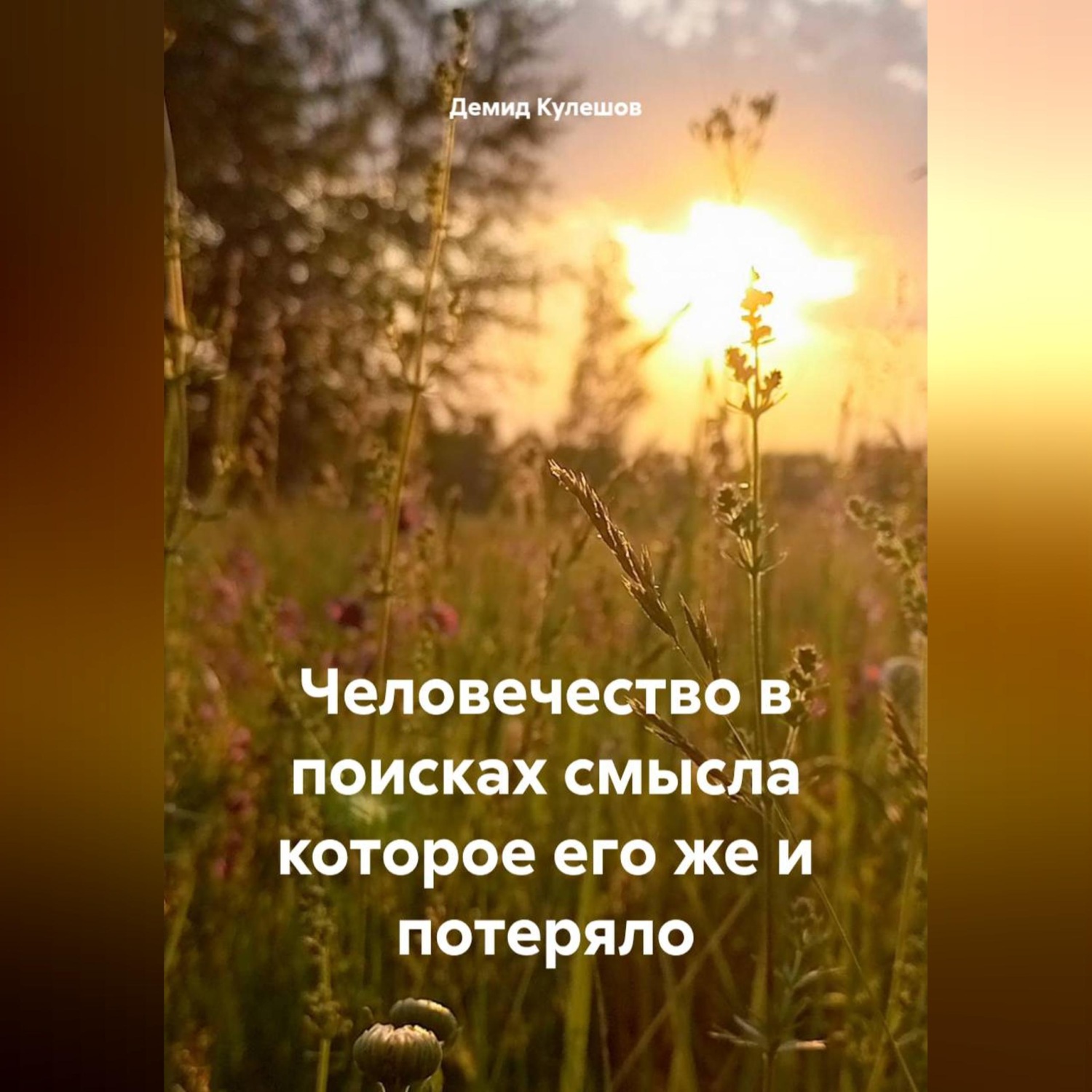Обложка книги «Человечество в поисках смысла которое его же и потеряло»