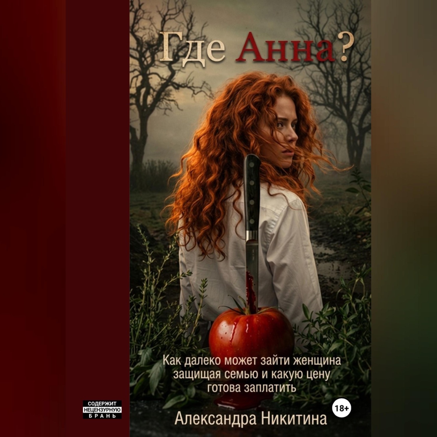 Обложка книги «Где Анна?»