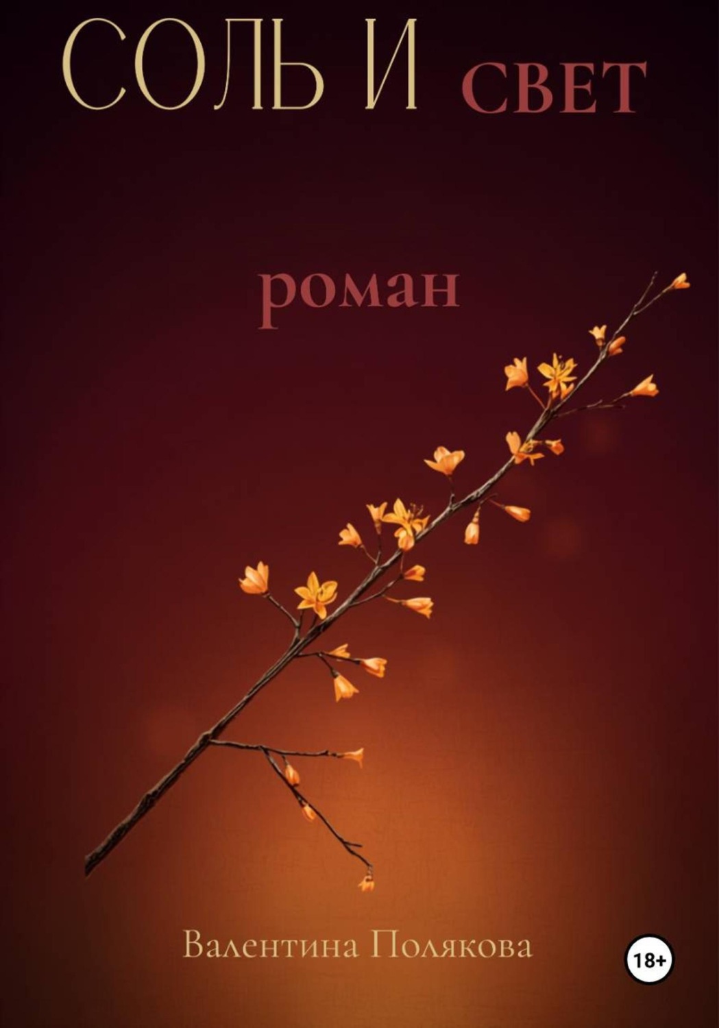 Обложка книги «Соль и свет»