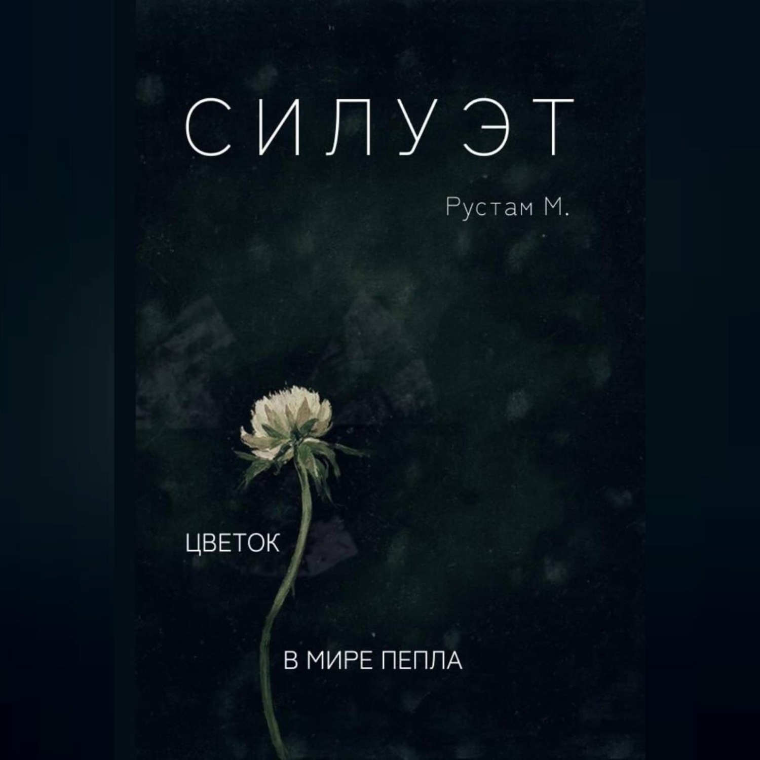 Обложка книги «Силуэт»