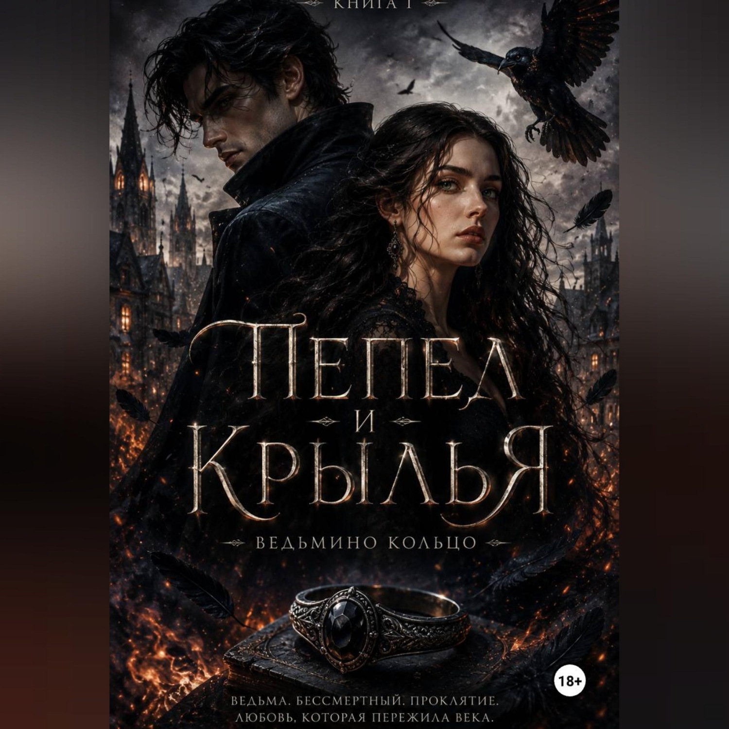 Обложка книги «Пепел и крылья»