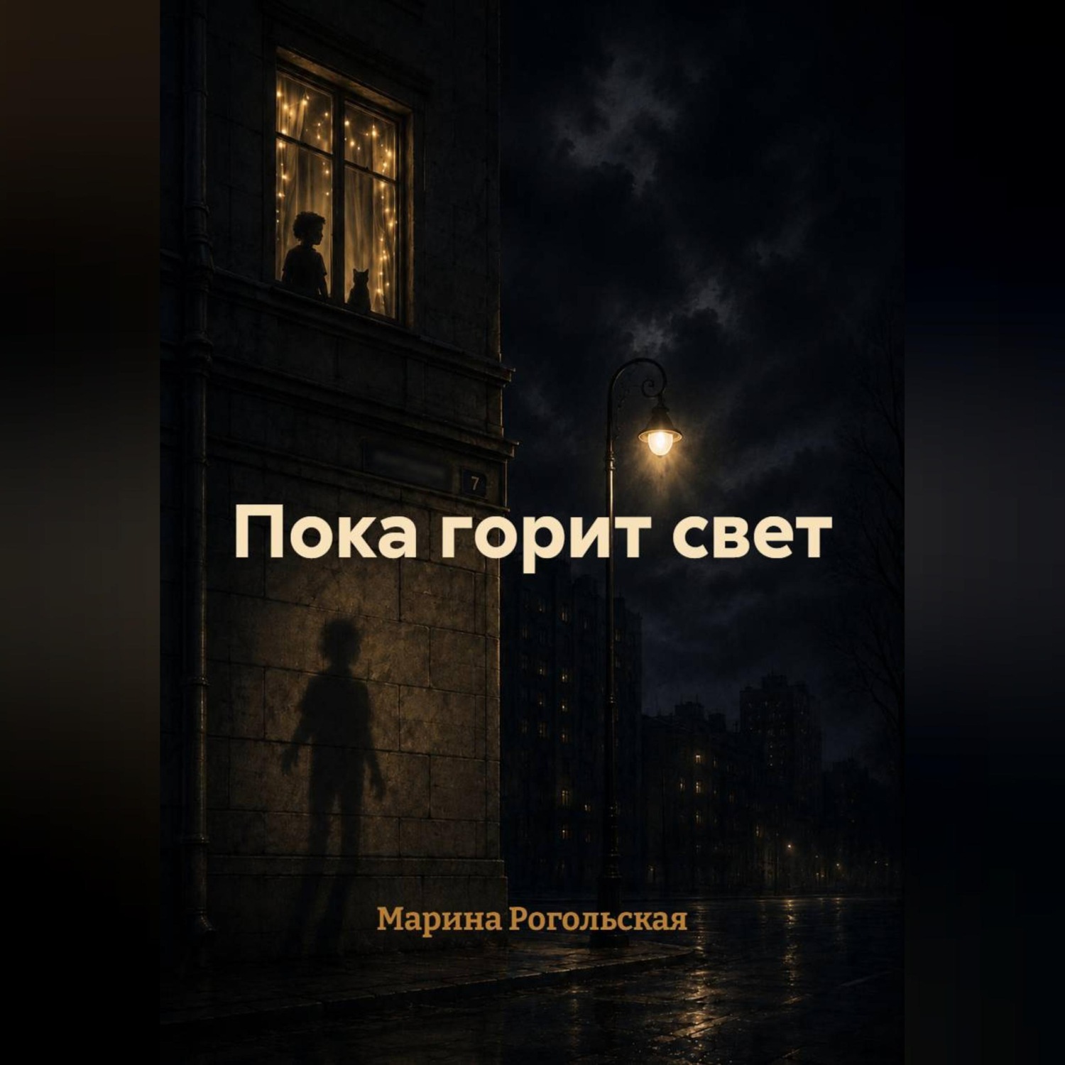 Обложка книги «Пока горит свет»