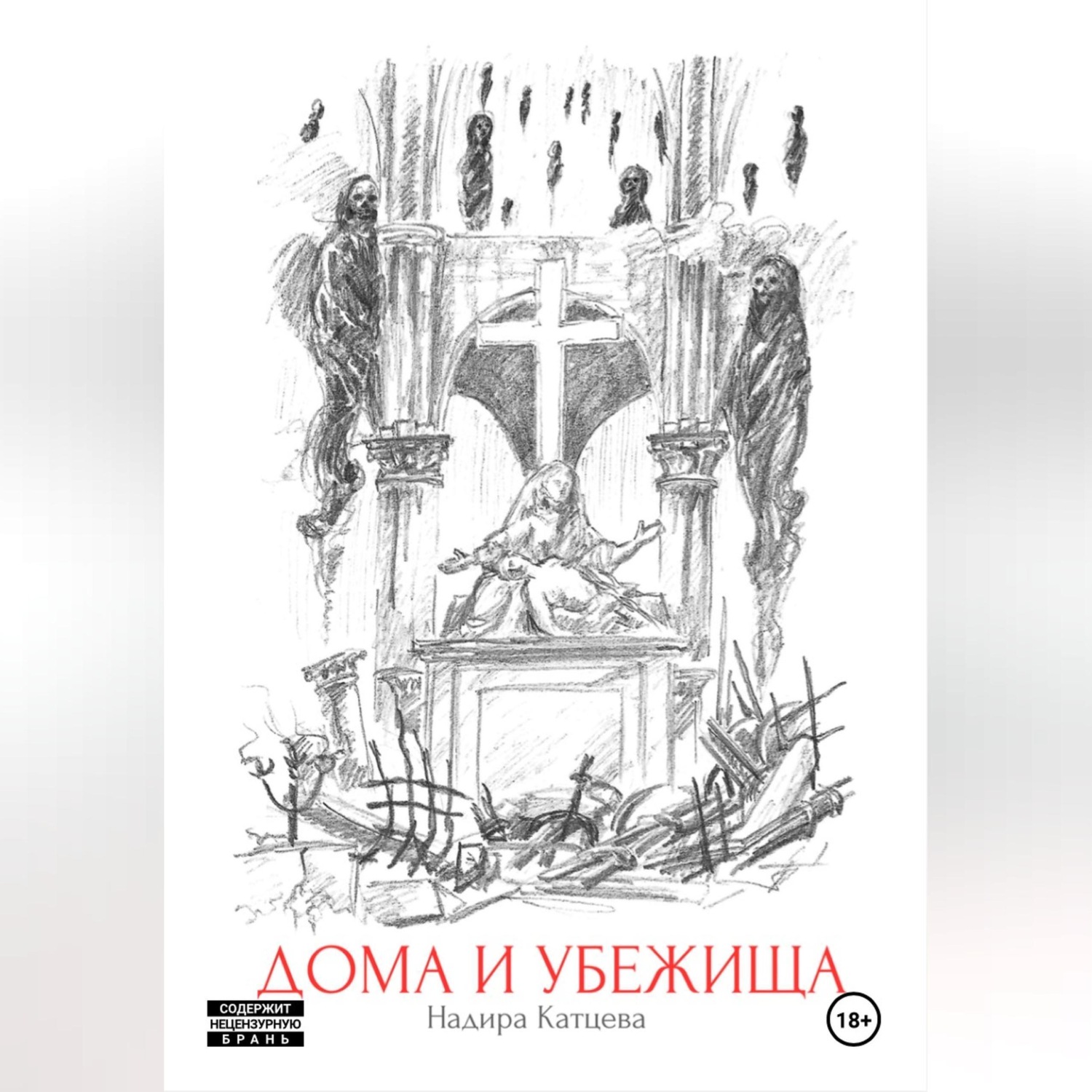 Обложка книги «Дома и Убежища»