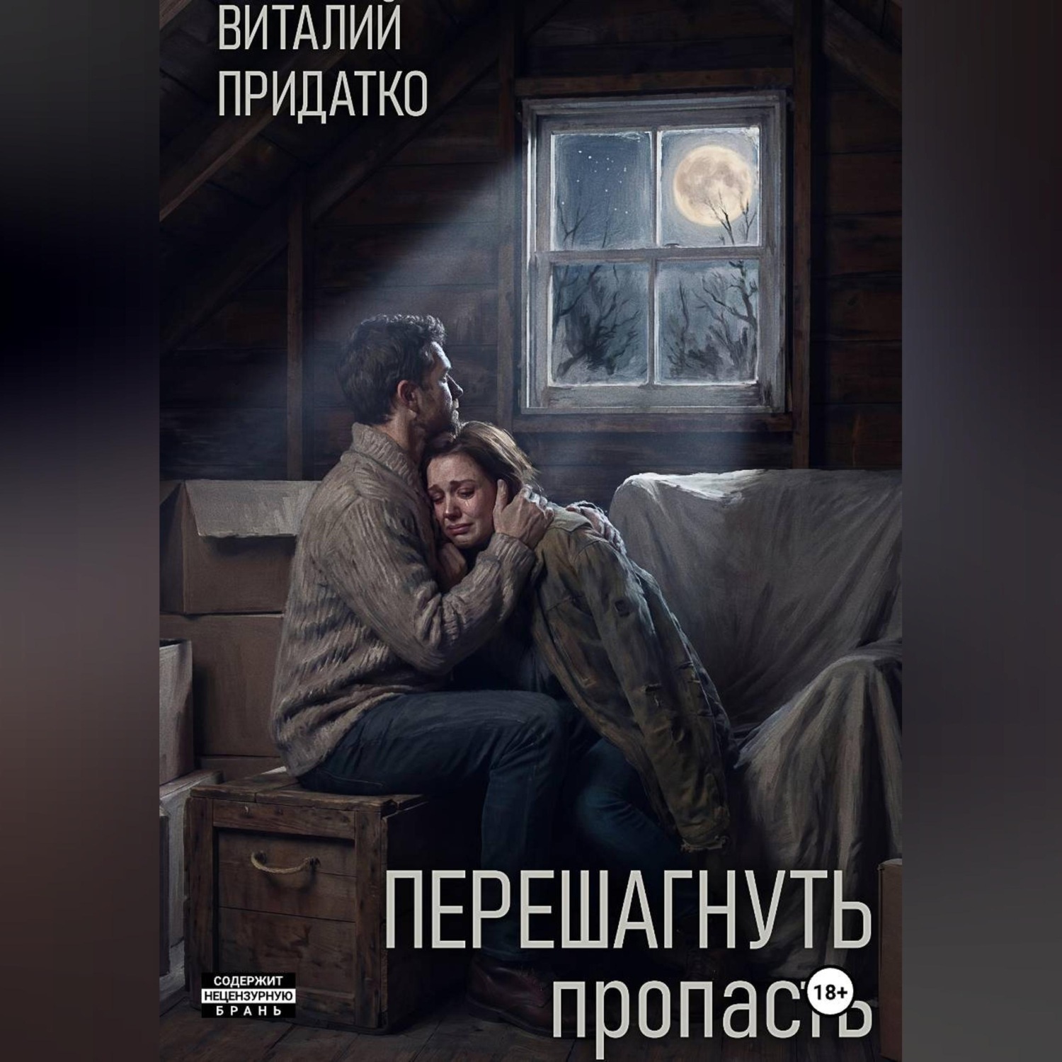Обложка книги «Перешагнуть пропасть»