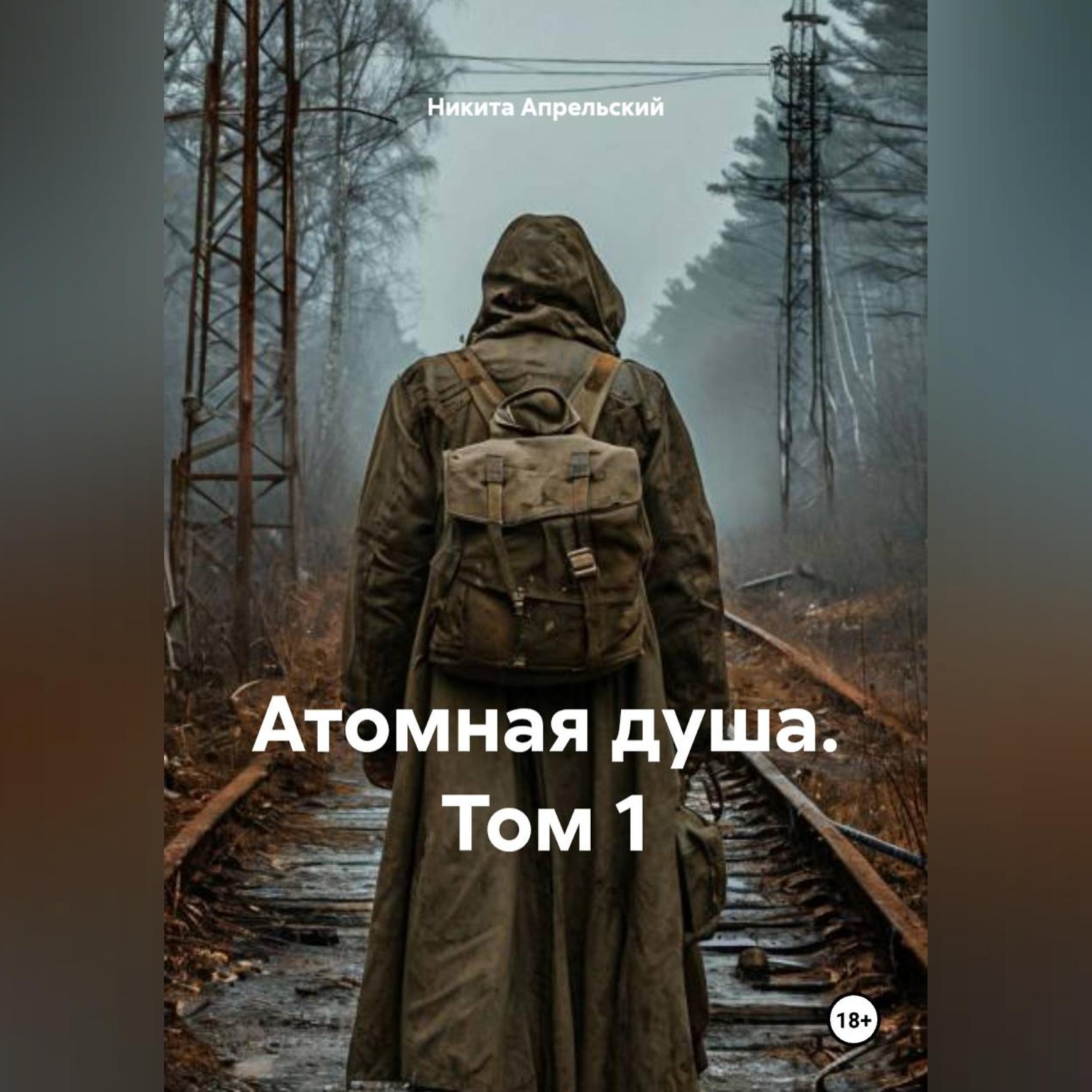 Обложка книги «S.T.A.L.K.E.R Атомная душа. Том 1.»