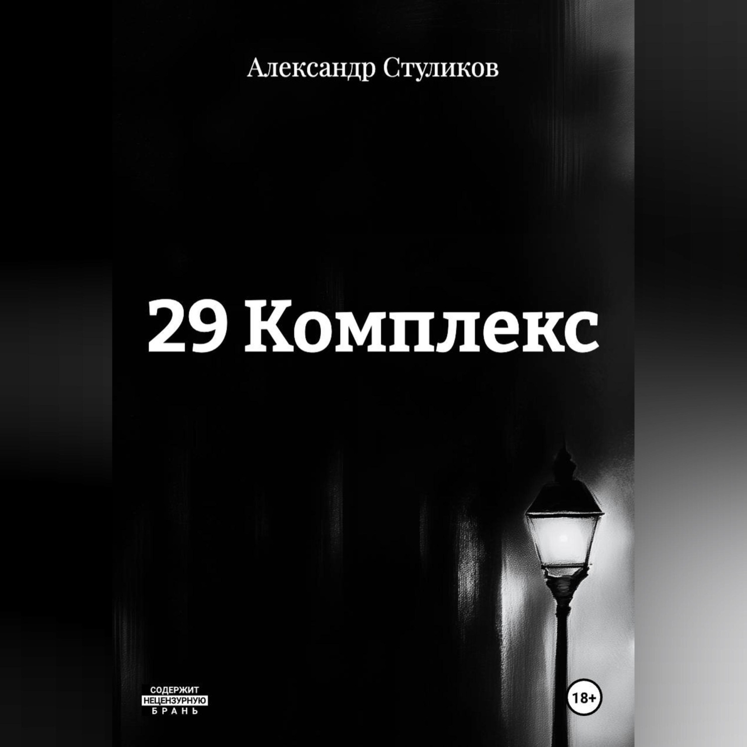 Обложка книги «29 КОМПЛЕКС»
