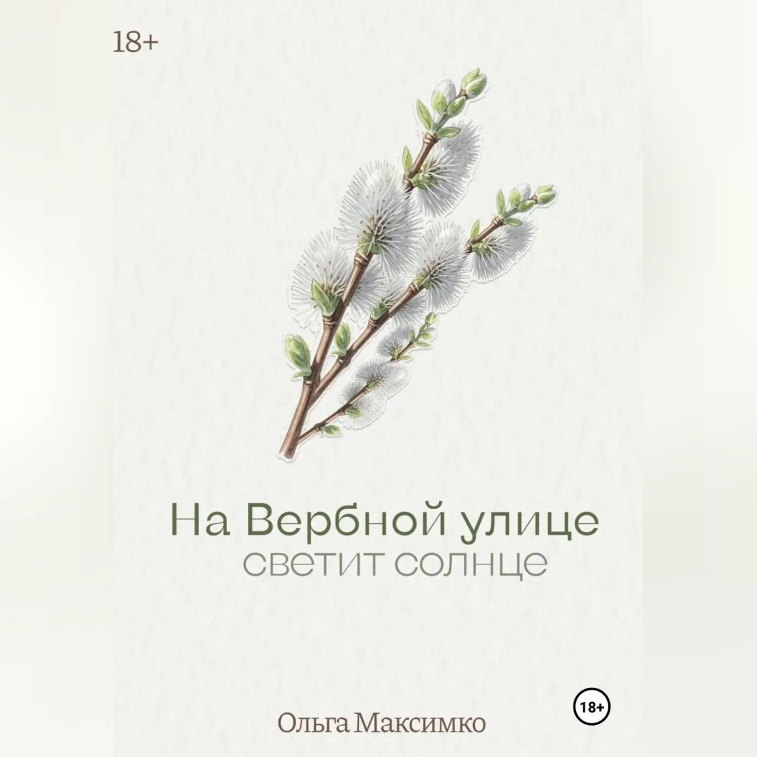 Обложка книги «На Вербной улице светит солнце»