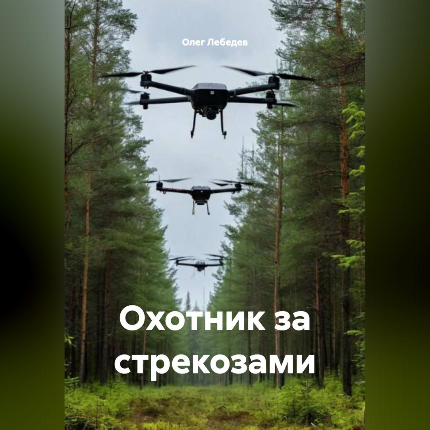 Обложка книги «ОХОТНИКИ ЗА СТРЕКОЗАМИ»