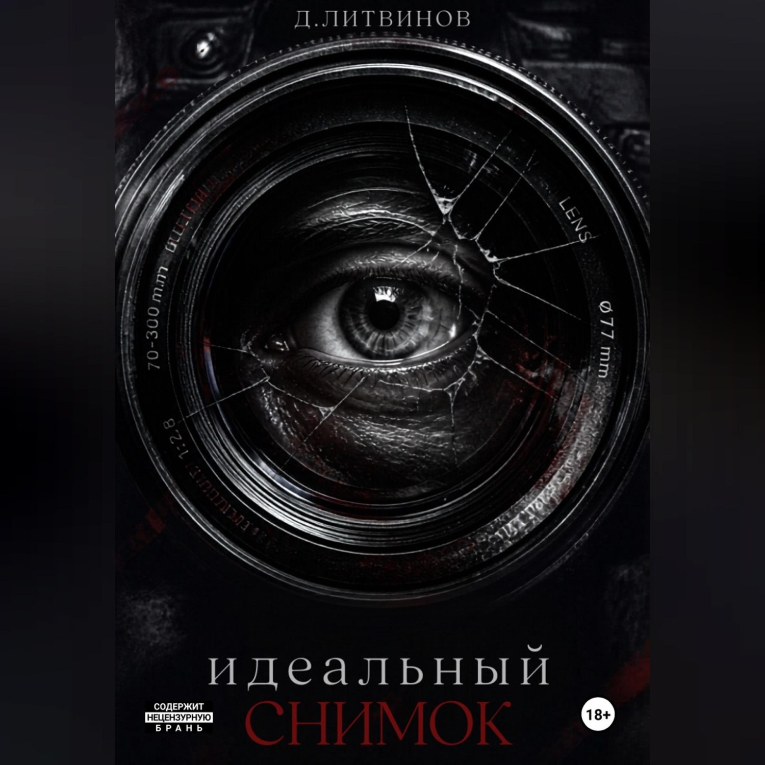 Обложка книги «Идеальный снимок»