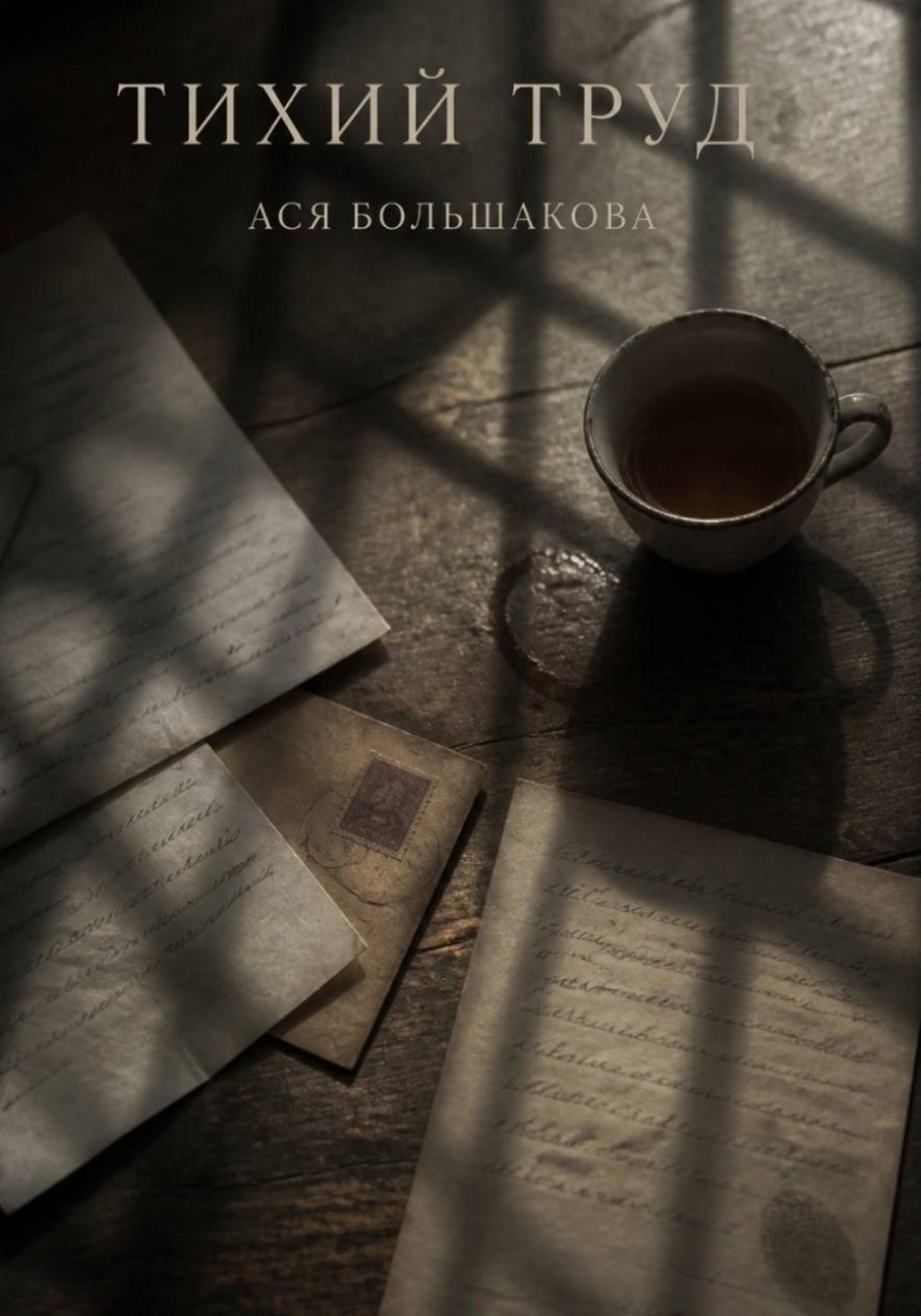 Обложка книги «Тихий труд»