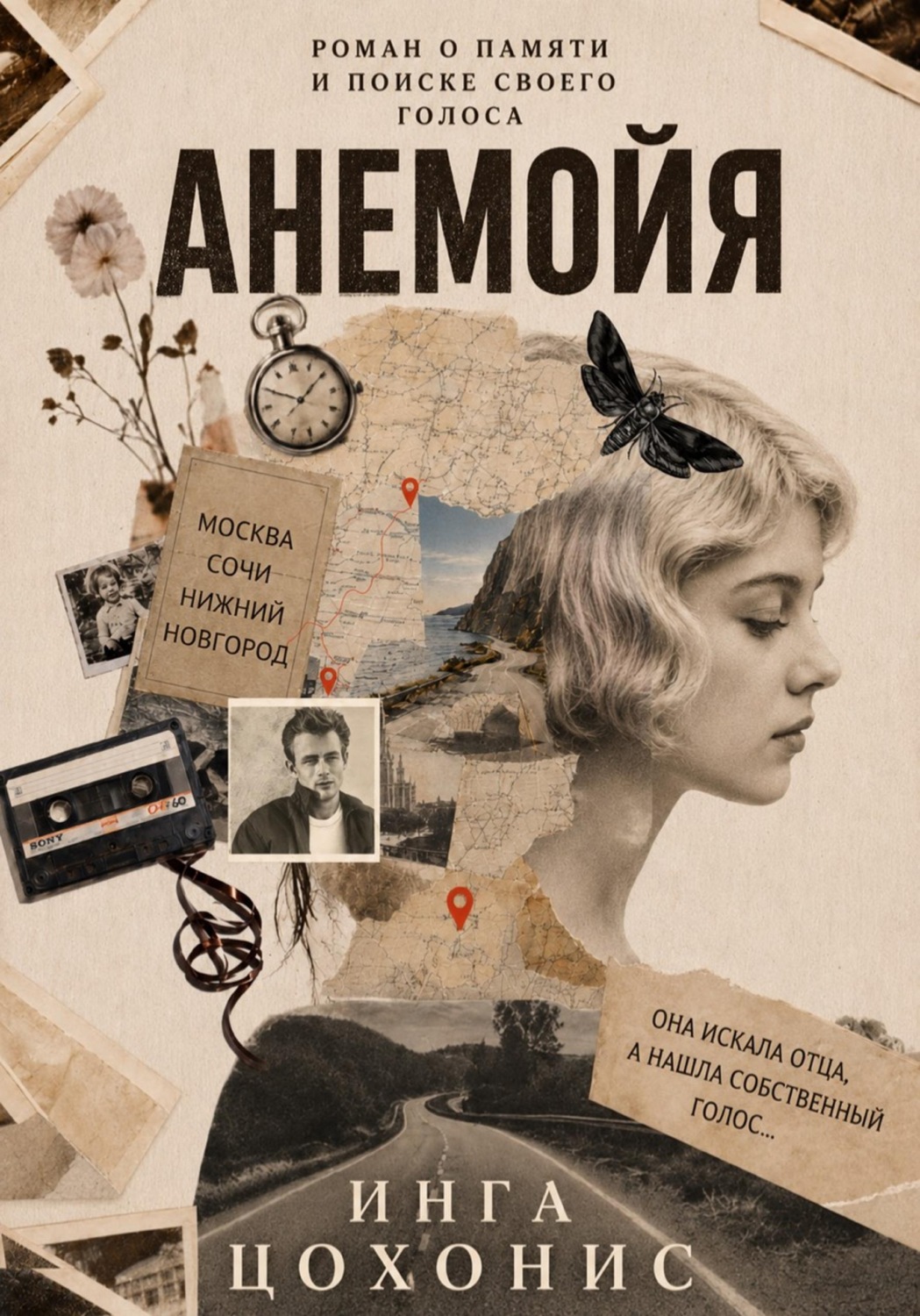Обложка книги «Анемойя»