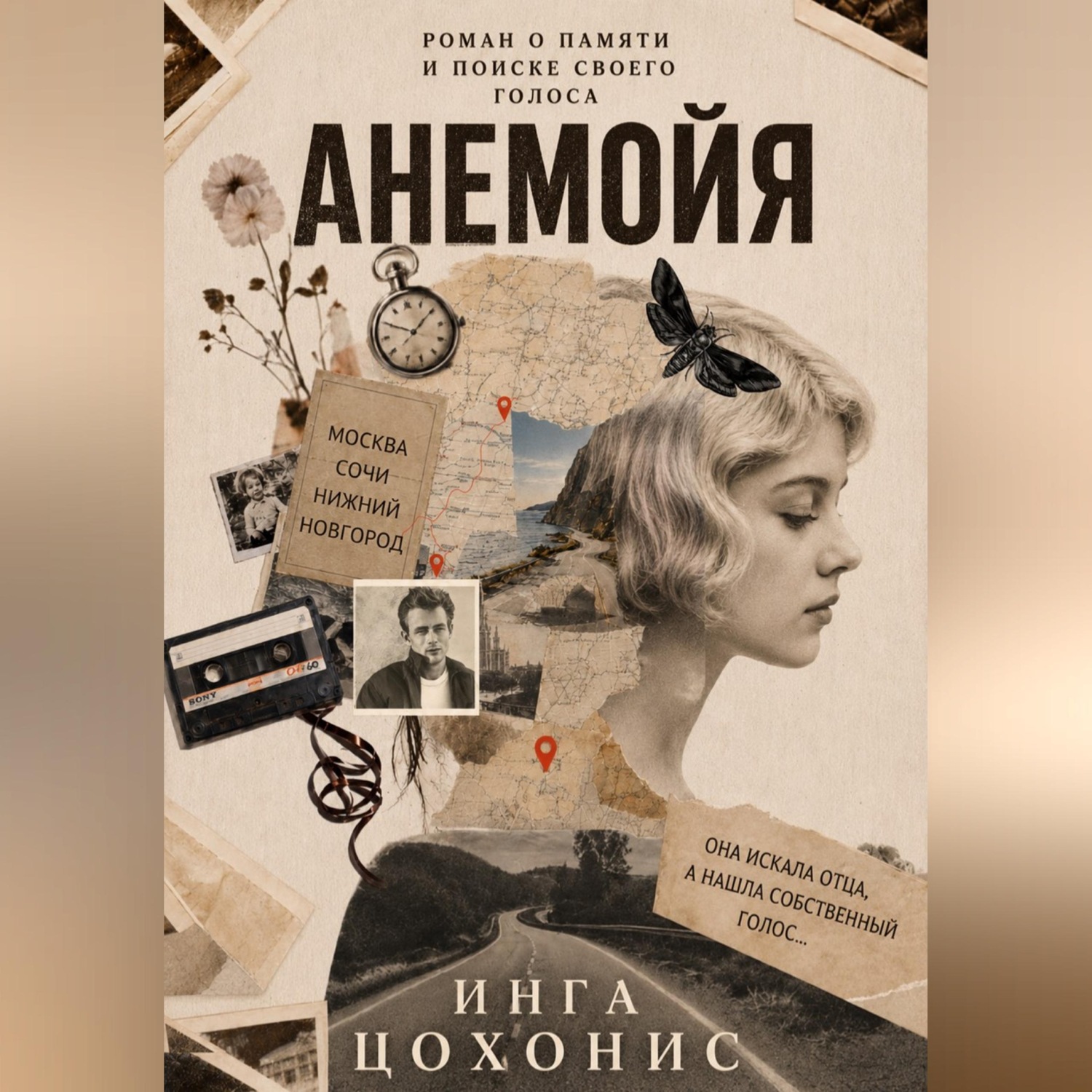 Обложка книги «Анемойя»