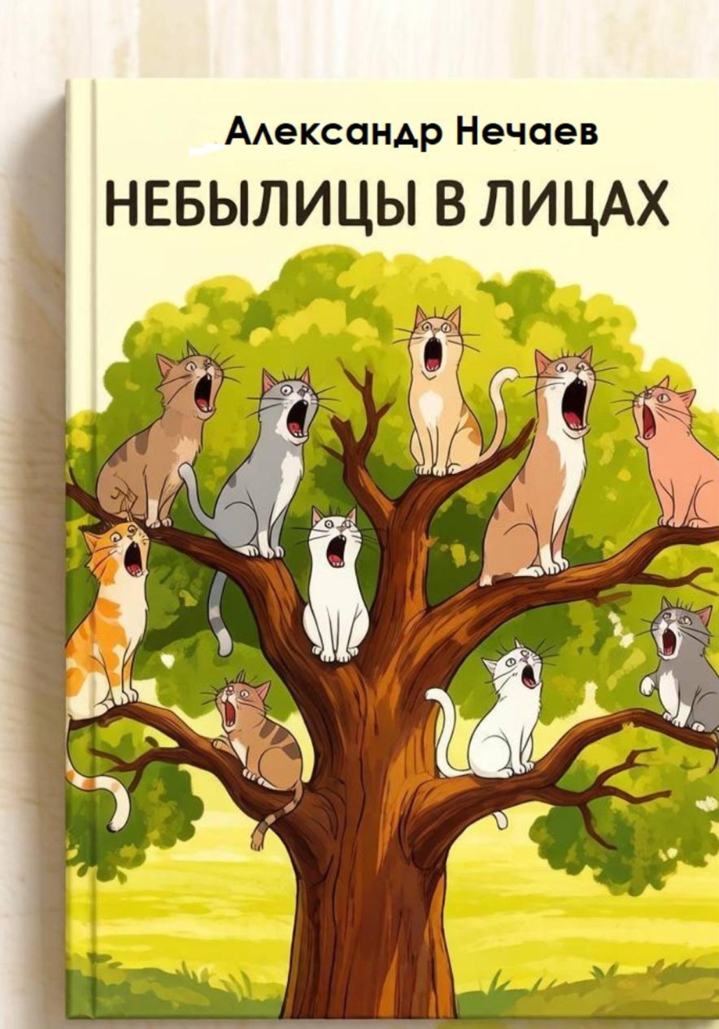 Обложка книги «Небылицы в лицах»