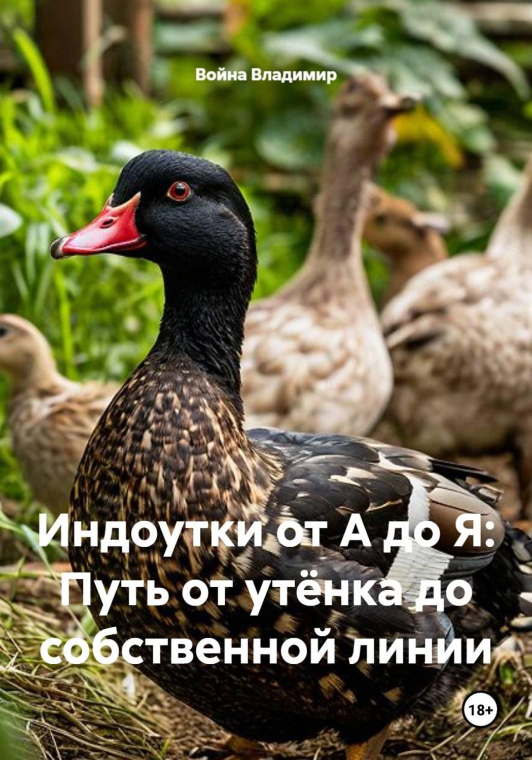 Обложка книги «Индоутки от А до Я: Путь от утёнка до собственной линии»
