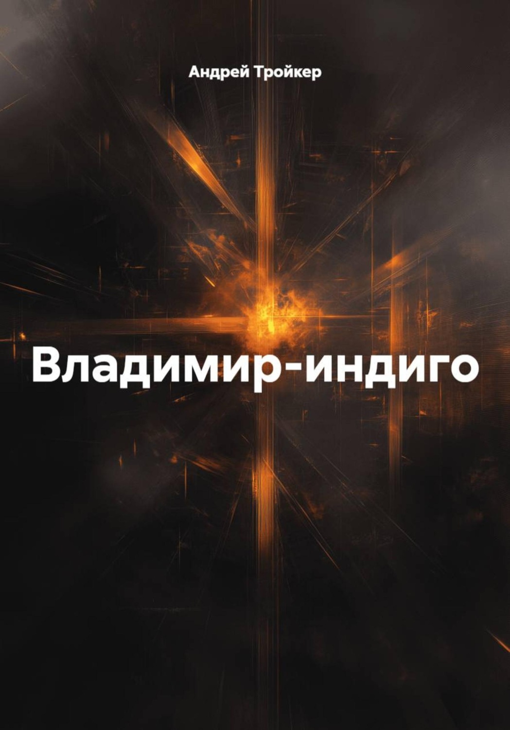Обложка книги «Владимир-индиго»