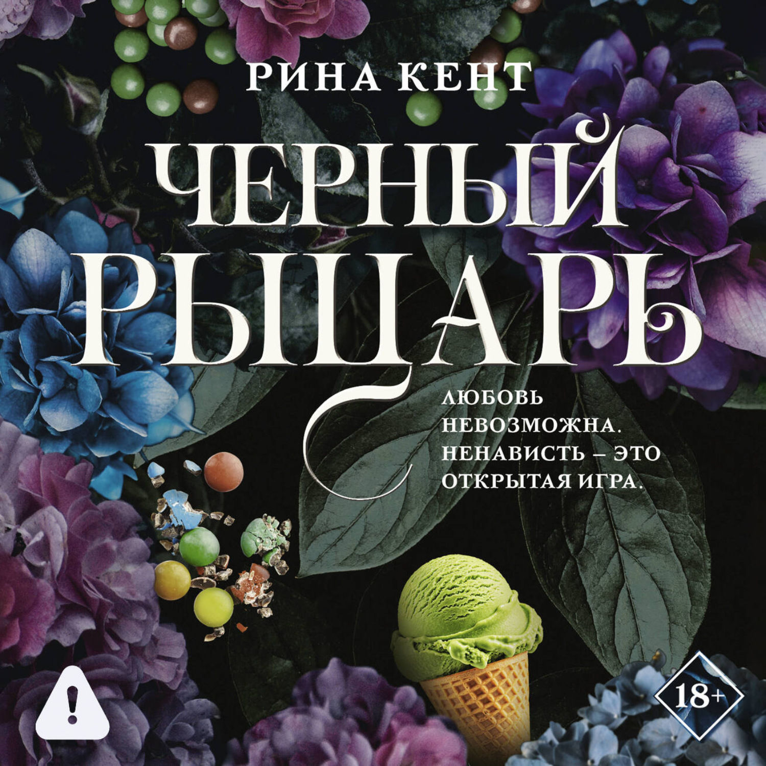 Обложка книги «Черный рыцарь»