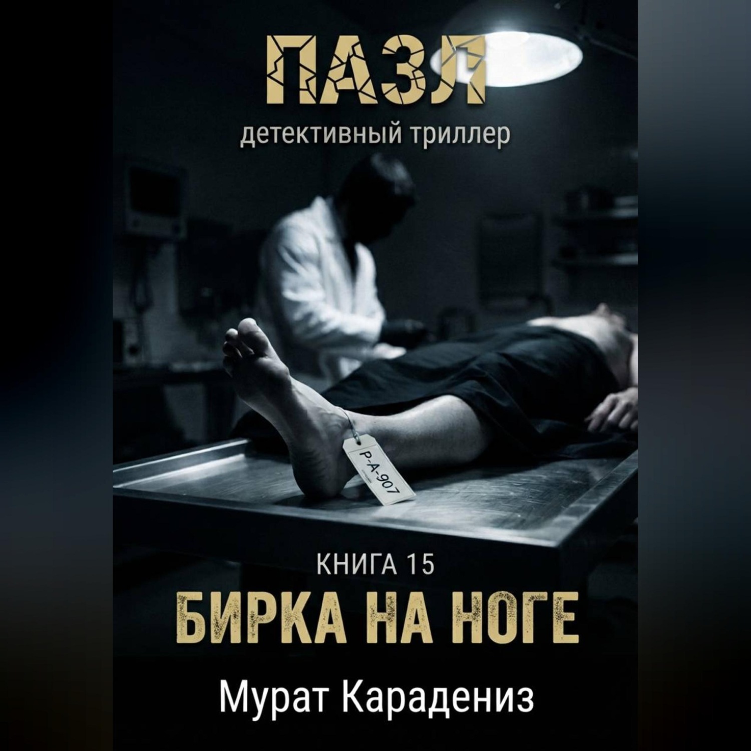 Обложка книги «Бирка на ноге»