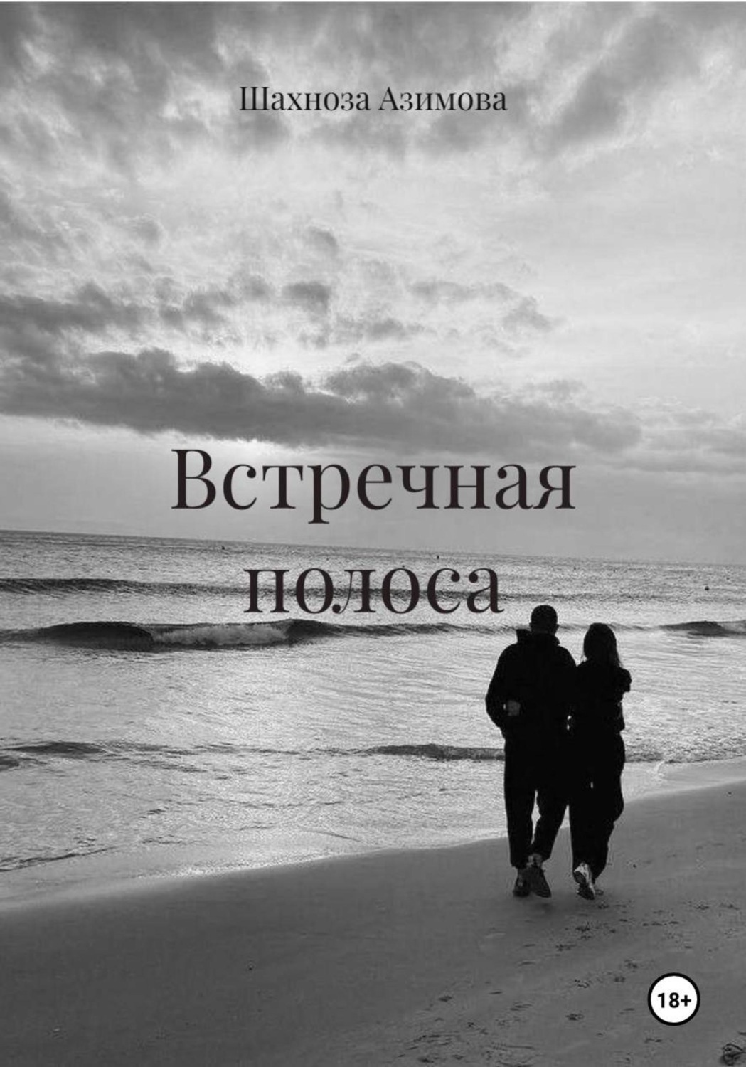 Обложка книги «Встречная полоса»