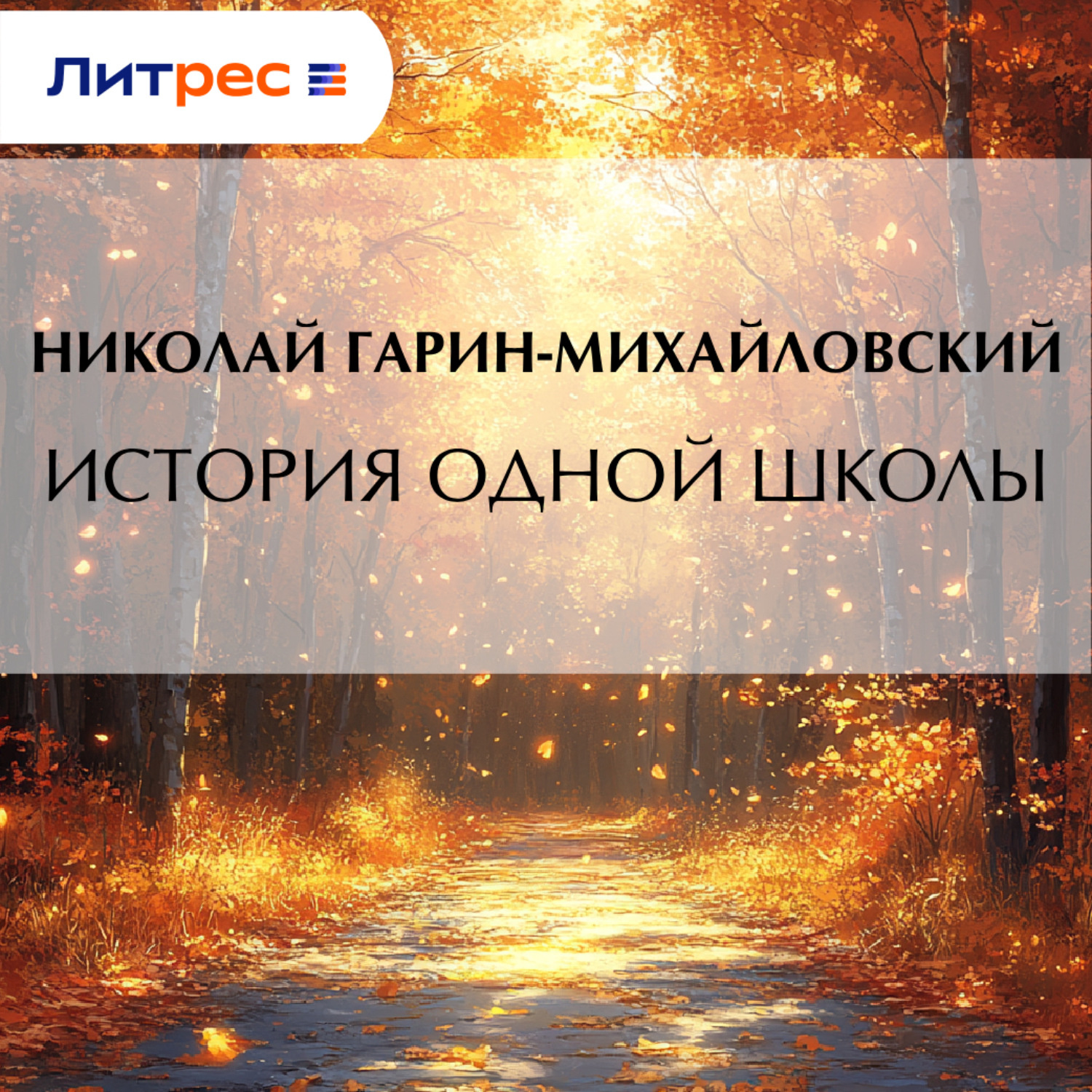 Обложка книги «История одной школы»