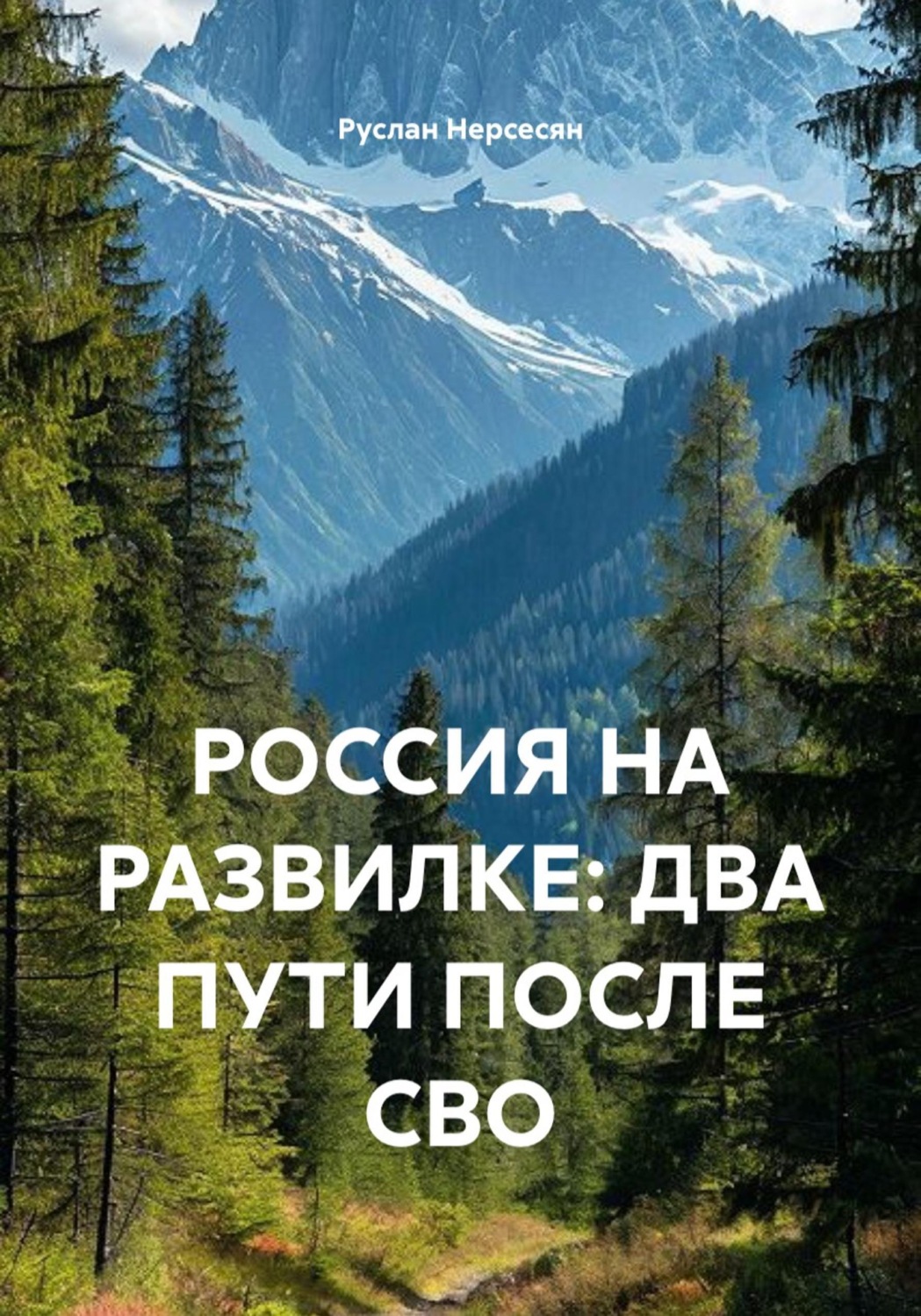 Обложка книги «РОССИЯ НА РАЗВИЛКЕ: ДВА ПУТИ ПОСЛЕ СВО»