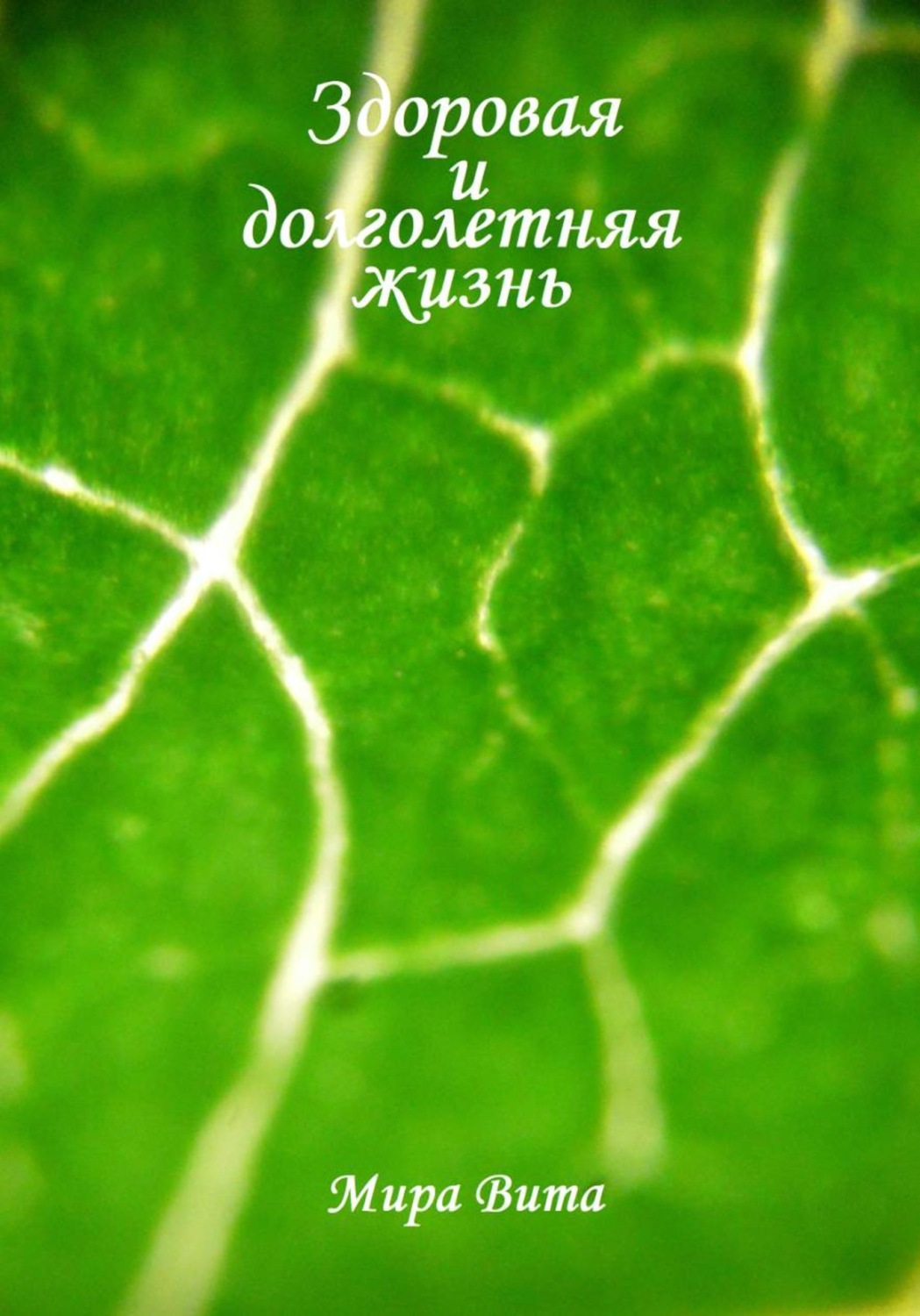 Обложка книги «Здоровая и долголетняя жизнь»