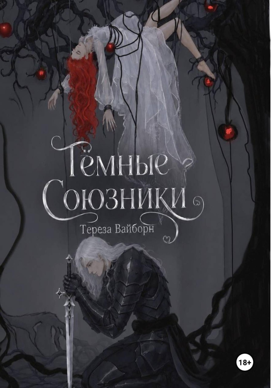 Обложка книги «Тёмные Союзники»