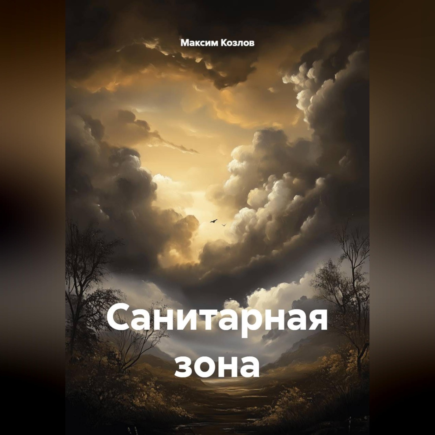 Обложка книги «Санитарная зона»