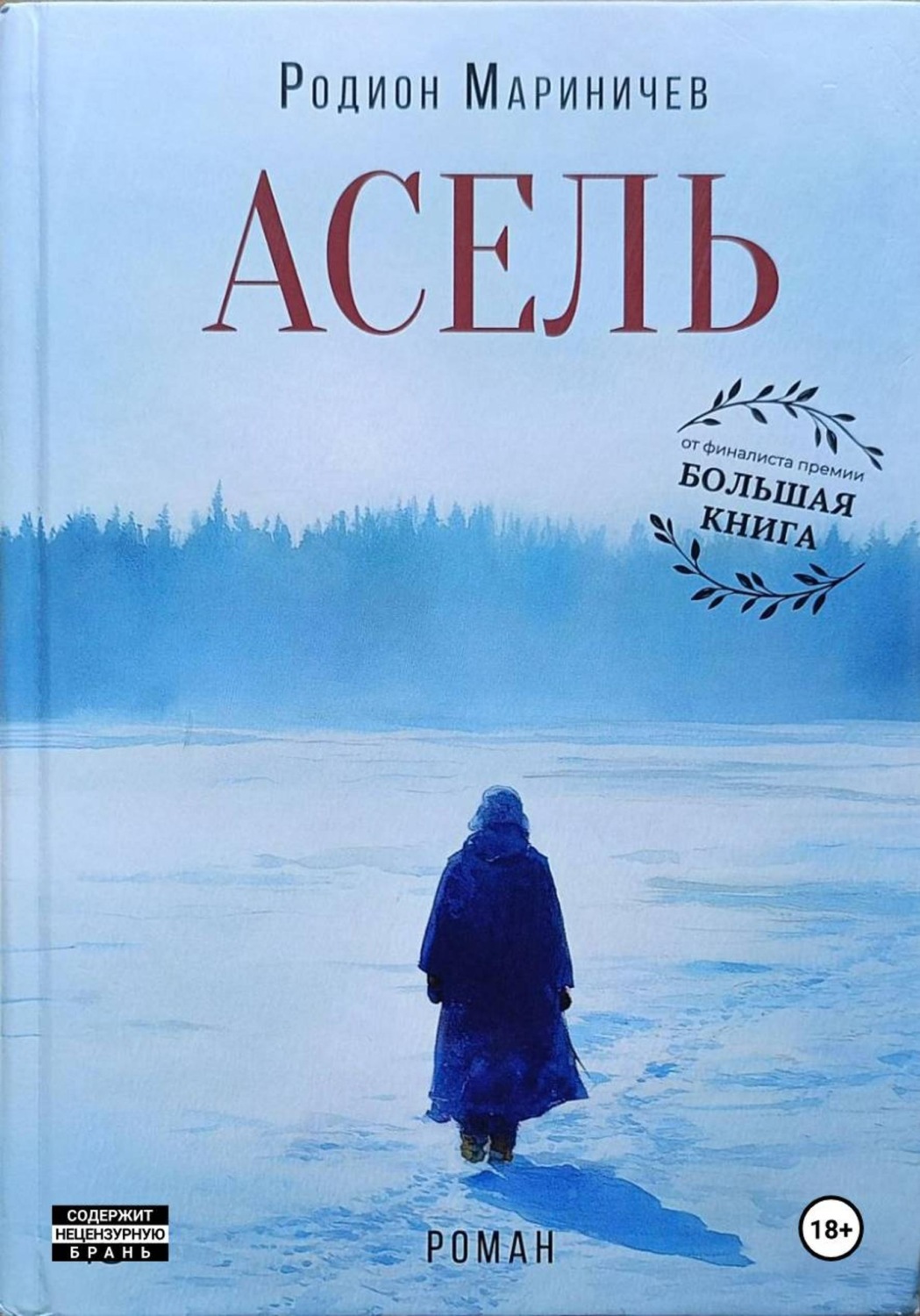 Обложка книги «Асель»