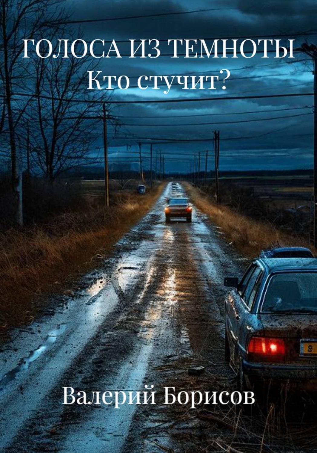 Обложка книги «ГОЛОСА ИЗ ТЕМНОТЫ Кто стучит?»