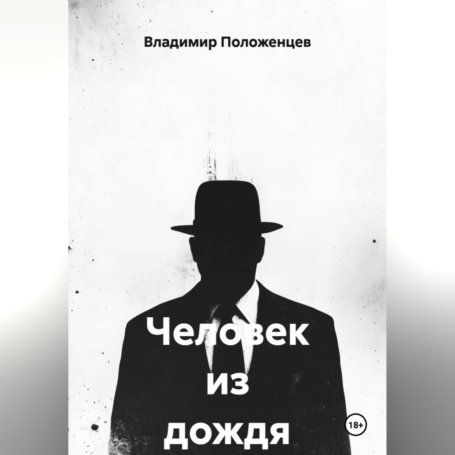 Обложка книги «Человек из дождя»