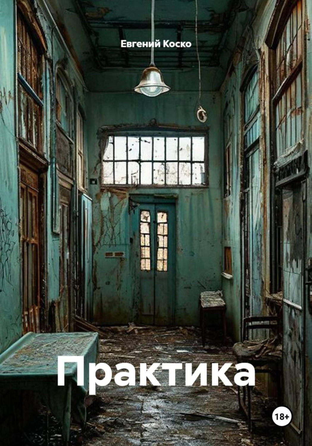 Обложка книги «Практика»