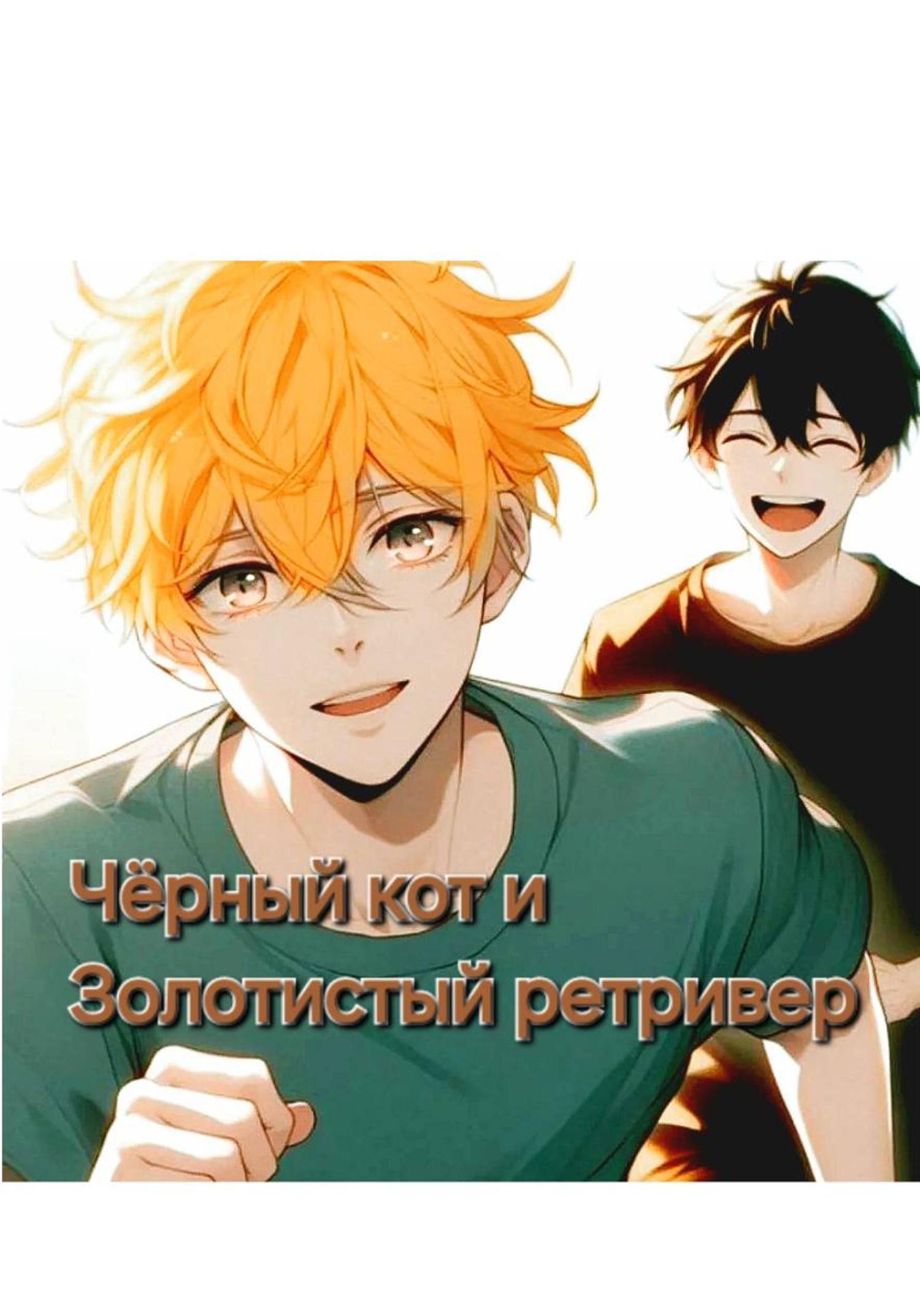 Обложка книги «Чёрный кот и золотистый ретривер»