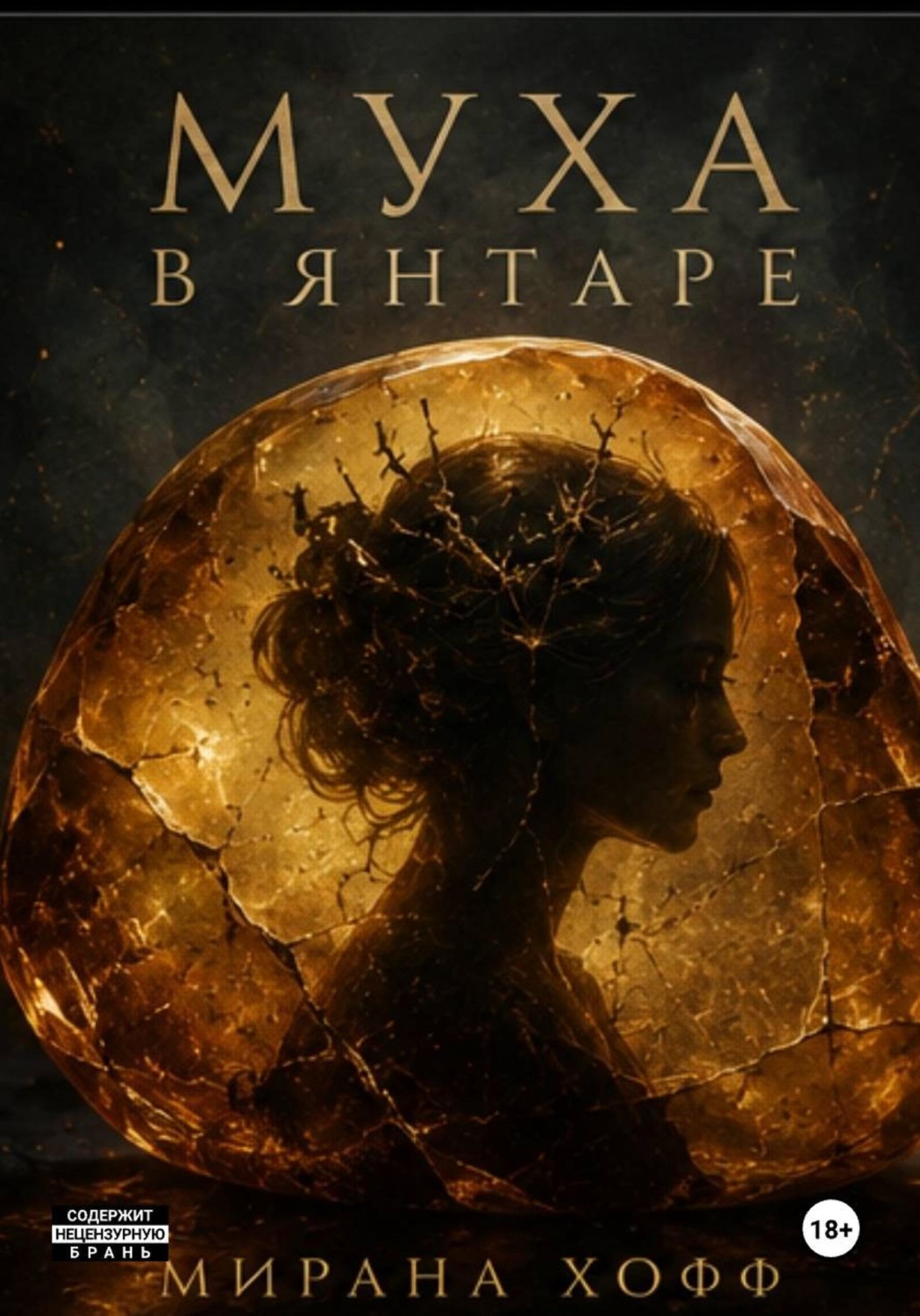 Обложка книги «Муха в янтаре»
