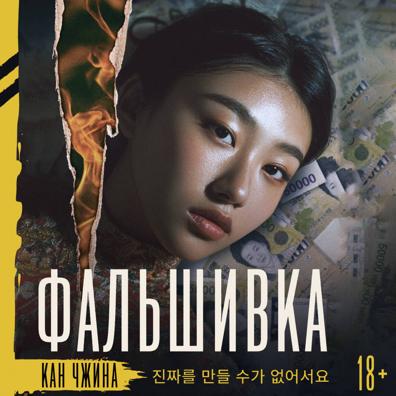 Обложка книги «Фальшивка»