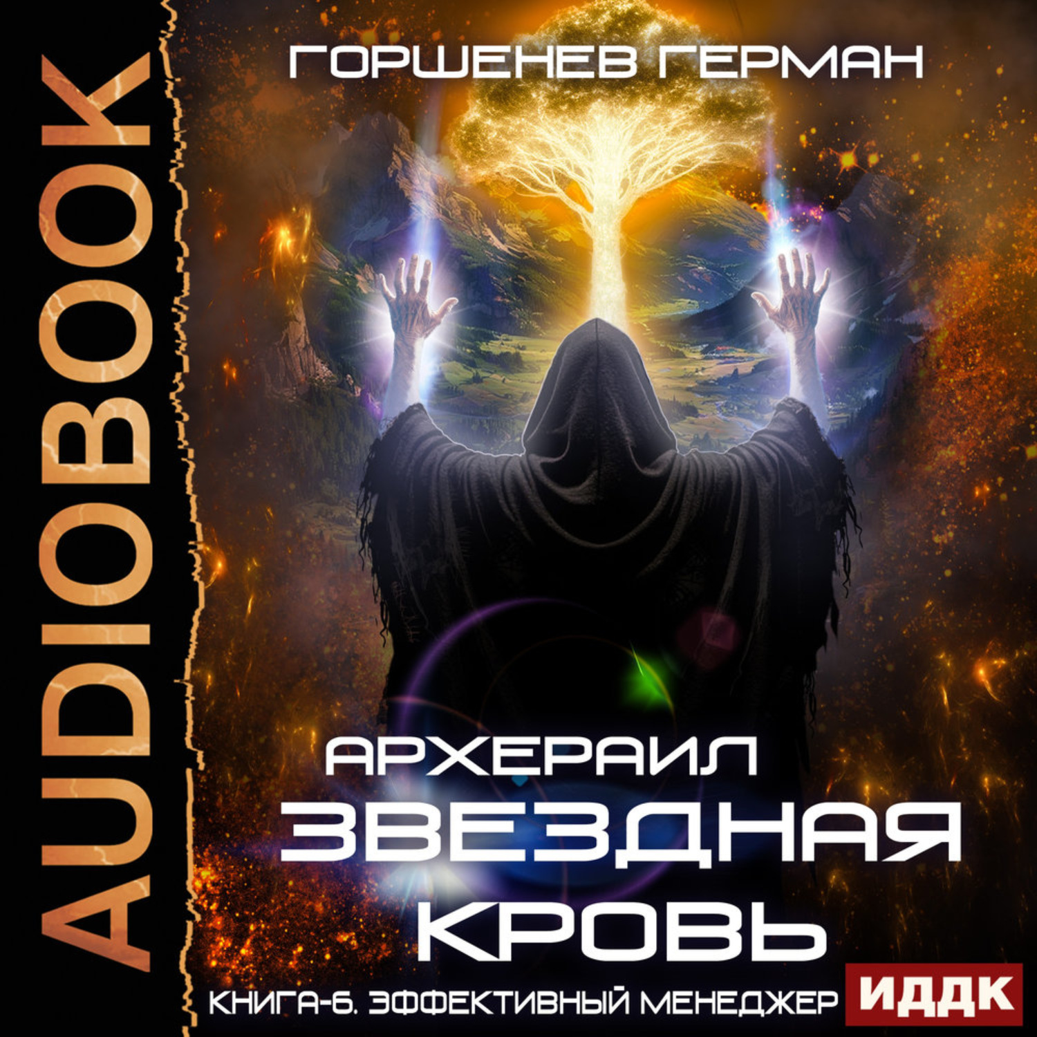 Обложка книги «Звёздная Кровь Архераил. Книга 6. Эффективный менеджер»