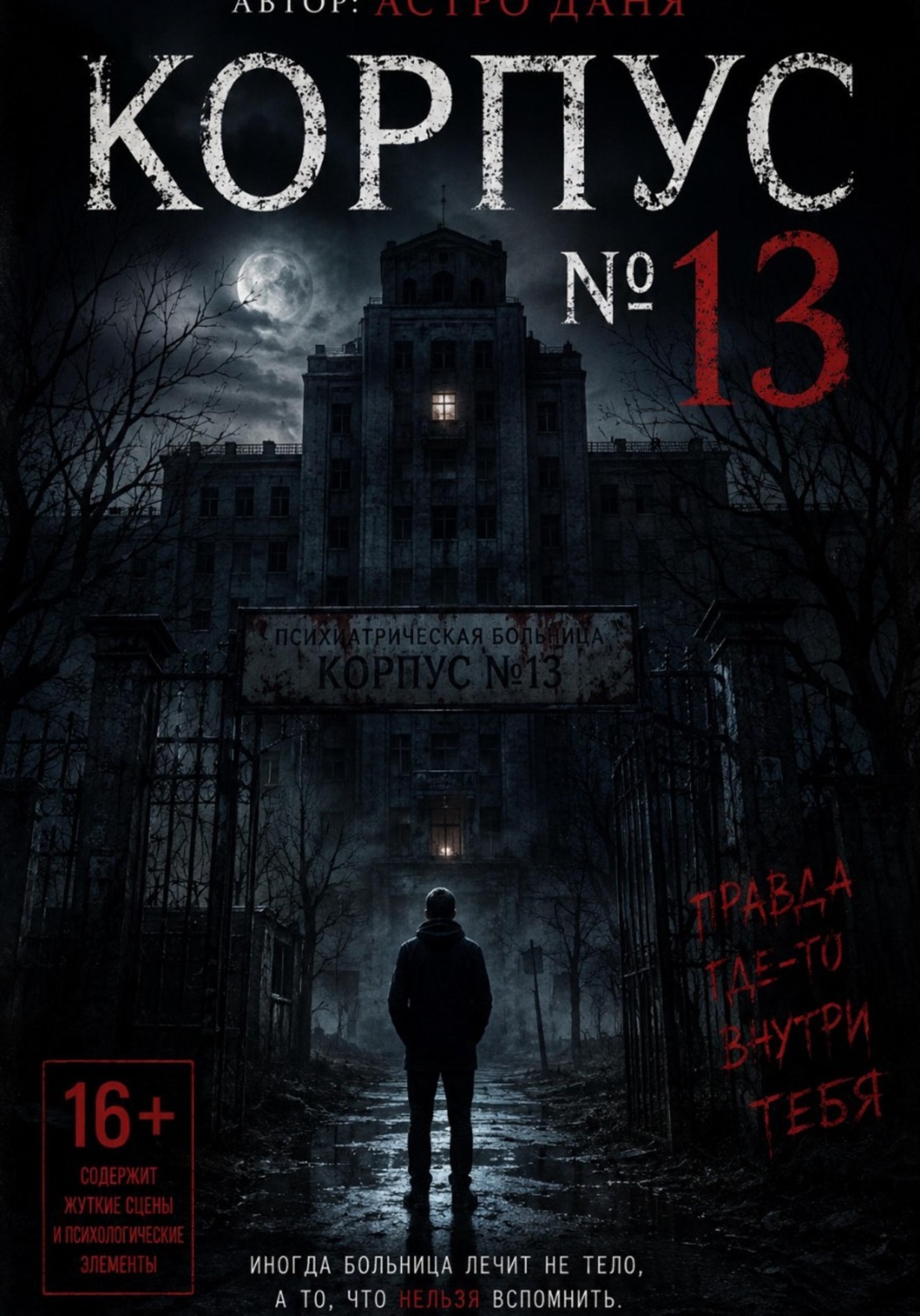 Обложка книги «Корпус 13»
