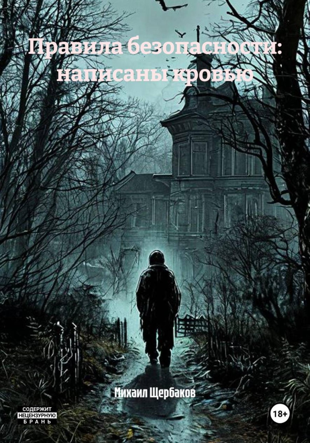 Обложка книги «Правила безопасности: написаны кровью»